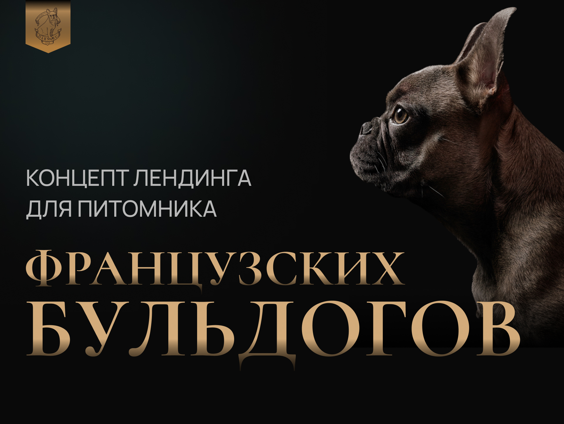 Концепт лендинга для питомника Французских бульдогов — Изображение №1 — Интерфейсы на Dprofile