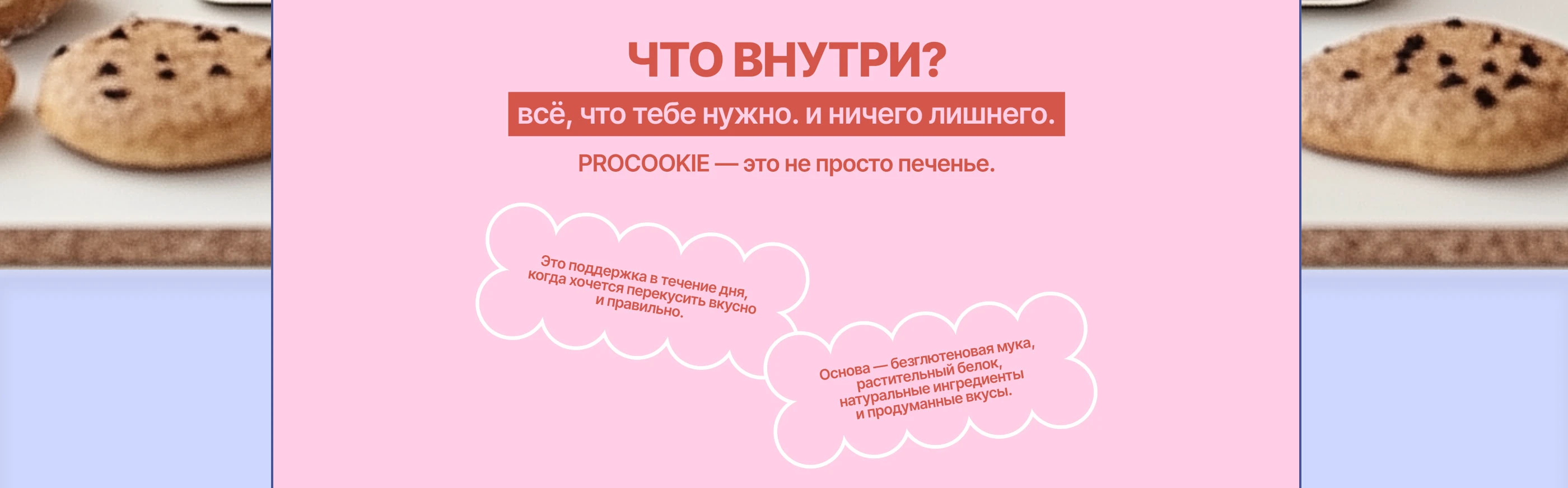 PROCOOKIES / Сайт и айдентика для бренда печенья — Изображение №14 — Интерфейсы, Брендинг на Dprofile