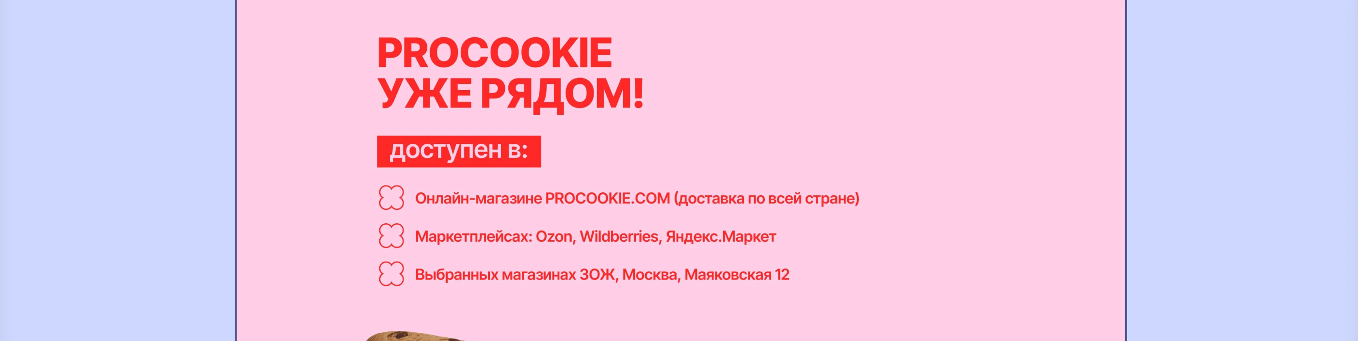 PROCOOKIES / Сайт и айдентика для бренда печенья — Изображение №18 — Интерфейсы, Брендинг на Dprofile