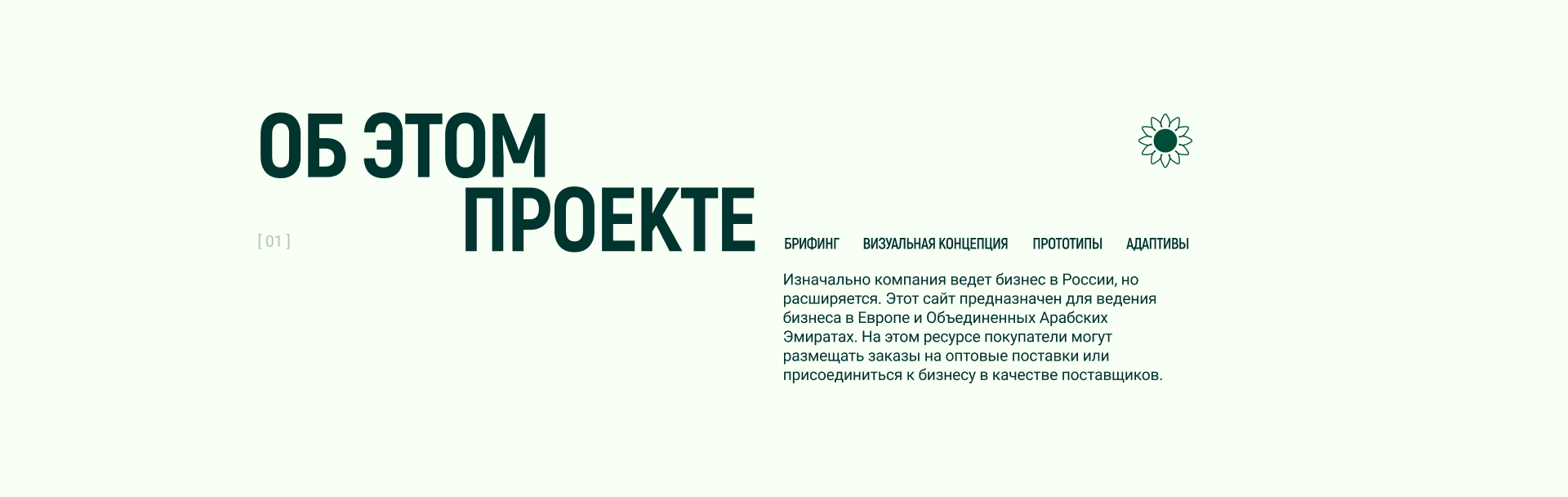 Торговая компания — Изображение №2 — Интерфейсы, Брендинг на Dprofile