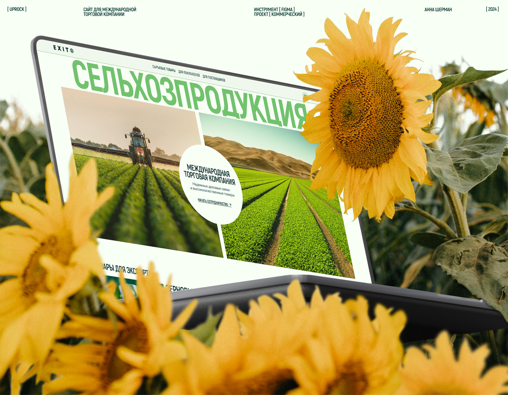 Торговая компания — Изображение №1 — Интерфейсы, Брендинг на Dprofile