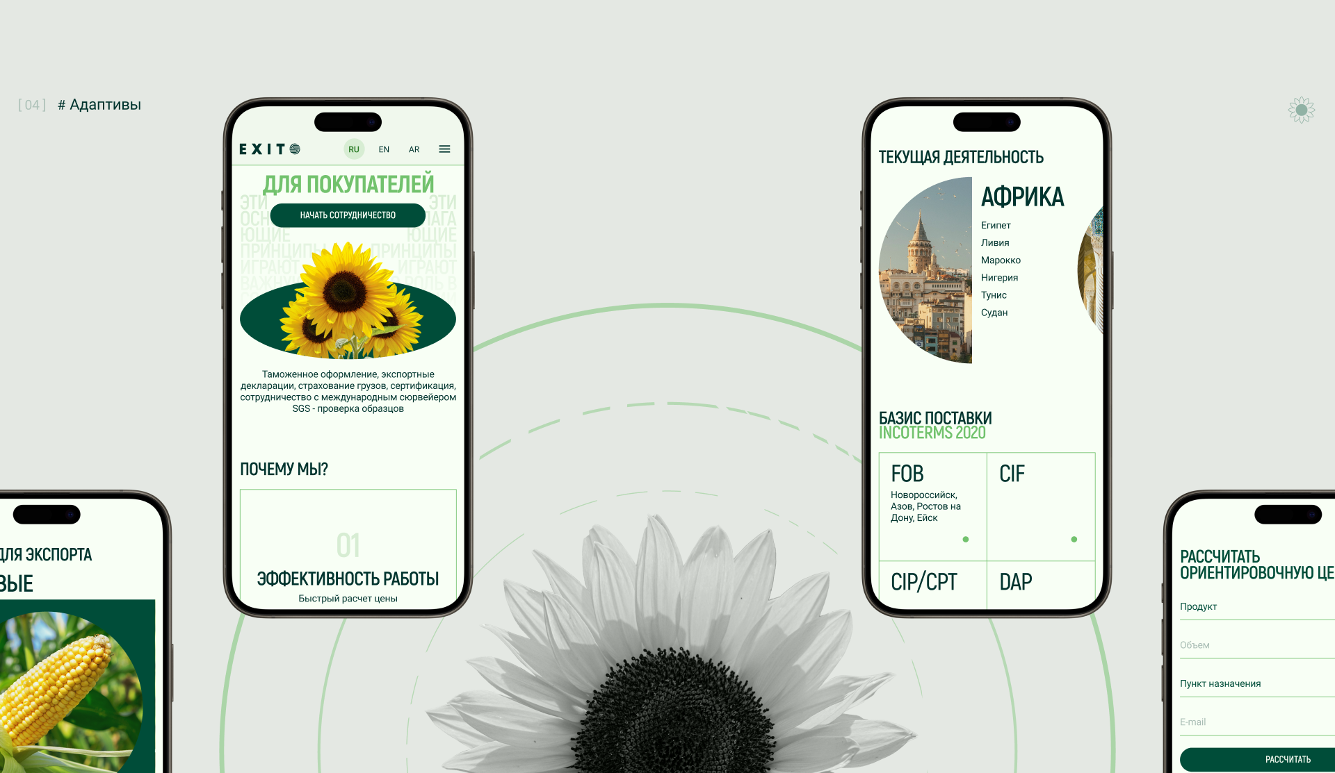 Торговая компания — Изображение №7 — Интерфейсы, Брендинг на Dprofile