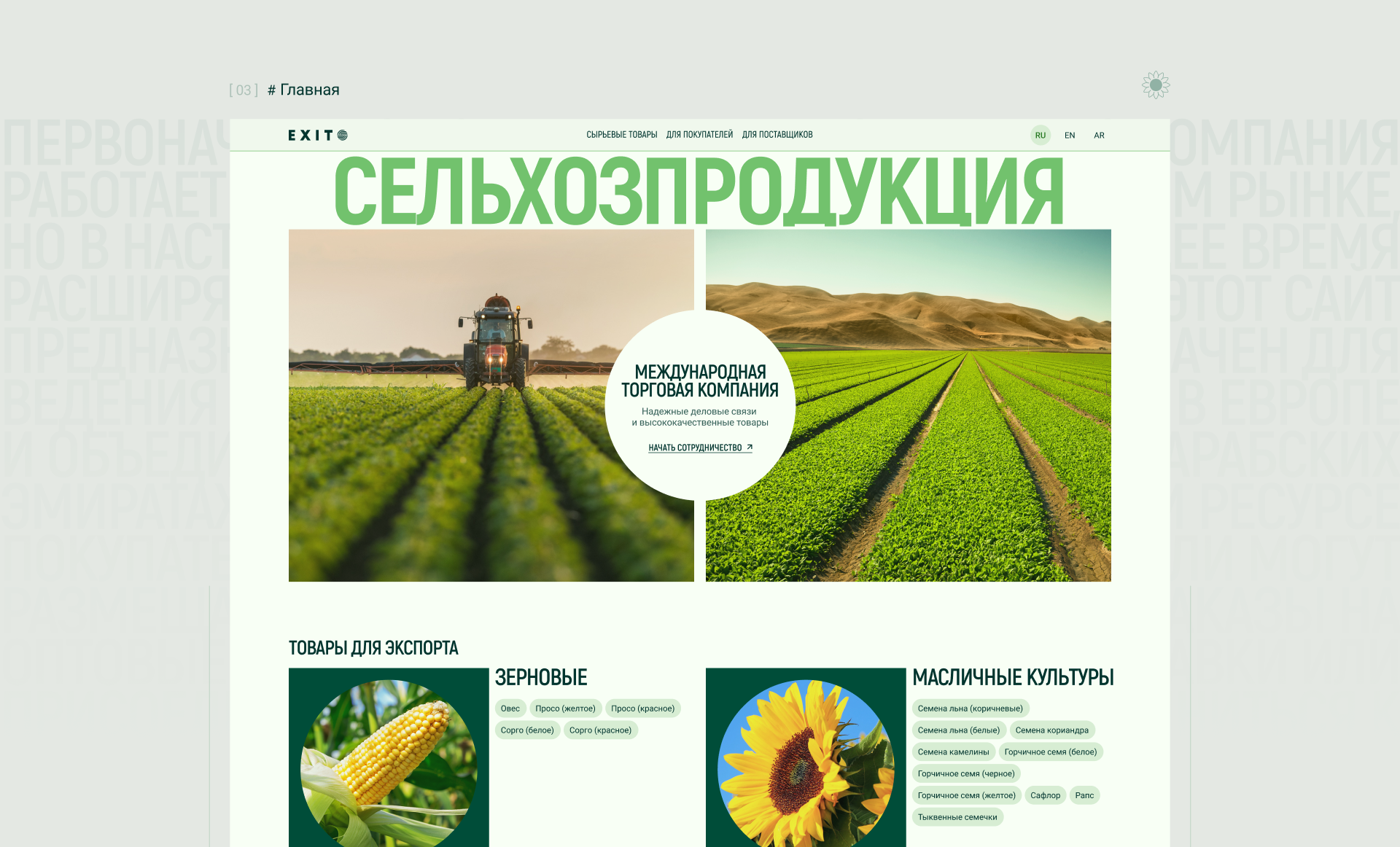 Торговая компания — Изображение №4 — Интерфейсы, Брендинг на Dprofile