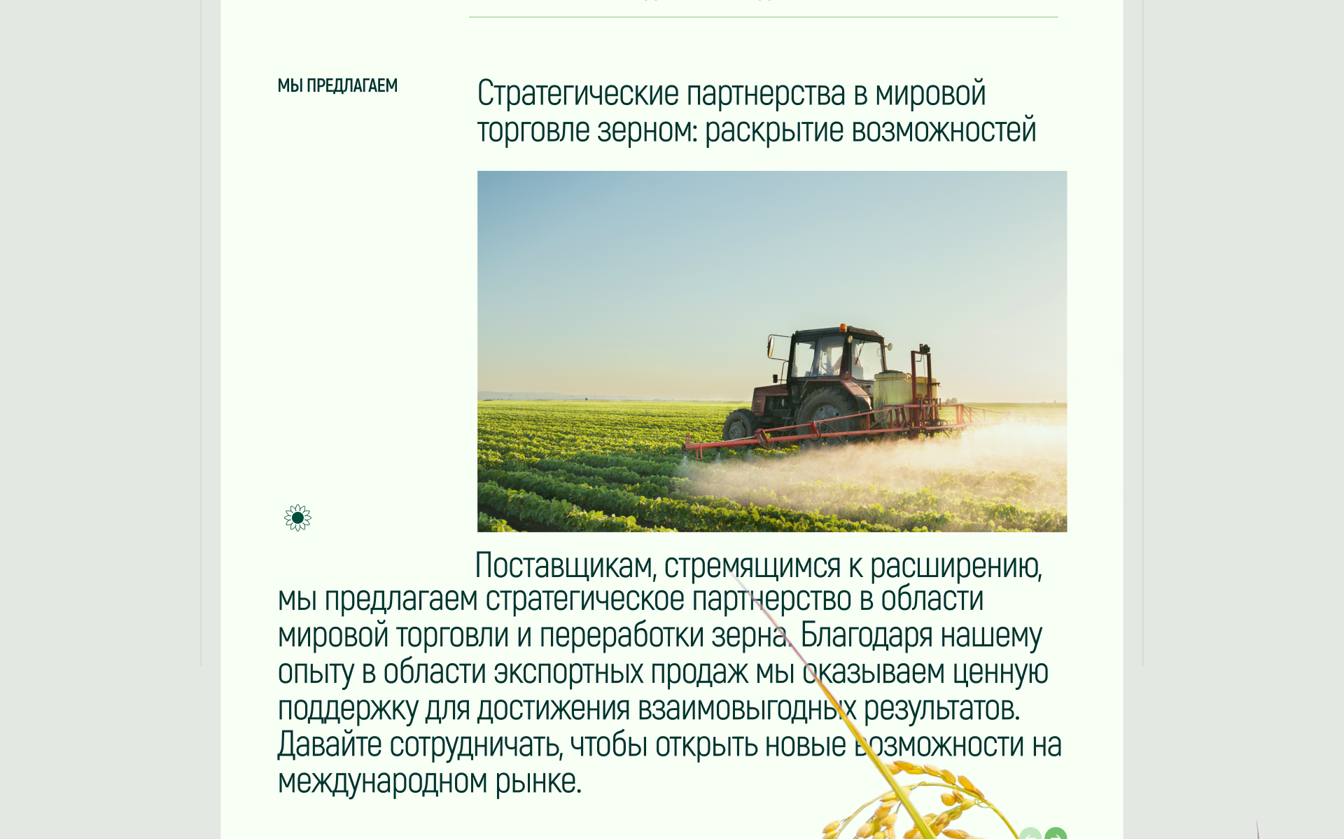 Торговая компания — Изображение №15 — Интерфейсы, Брендинг на Dprofile