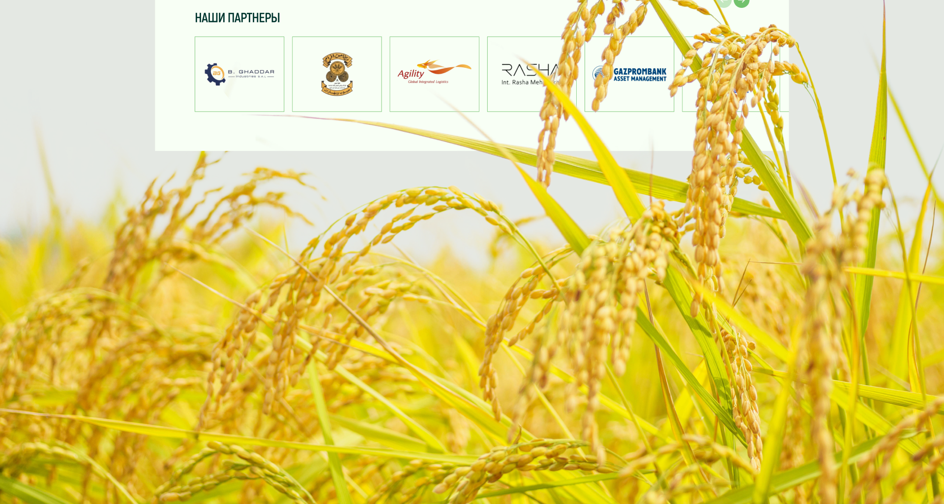 Торговая компания — Изображение №16 — Интерфейсы, Брендинг на Dprofile