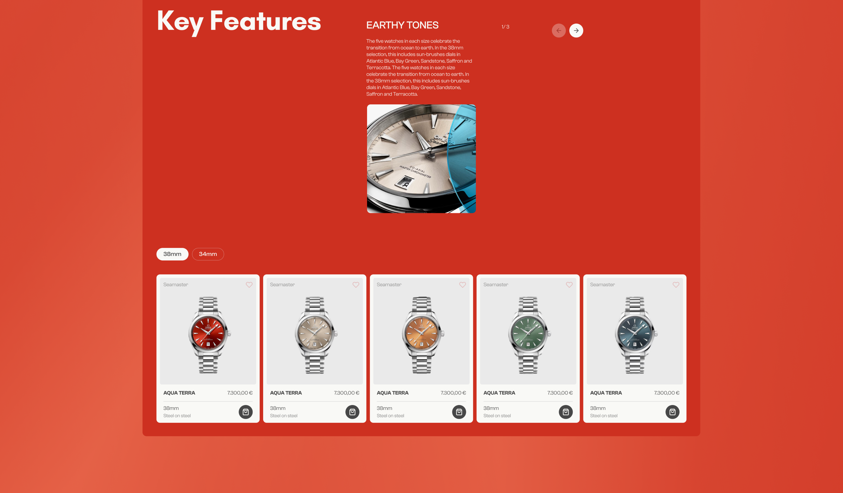 Swiss Luxury Watches — Изображение №21 — Интерфейсы, Брендинг на Dprofile