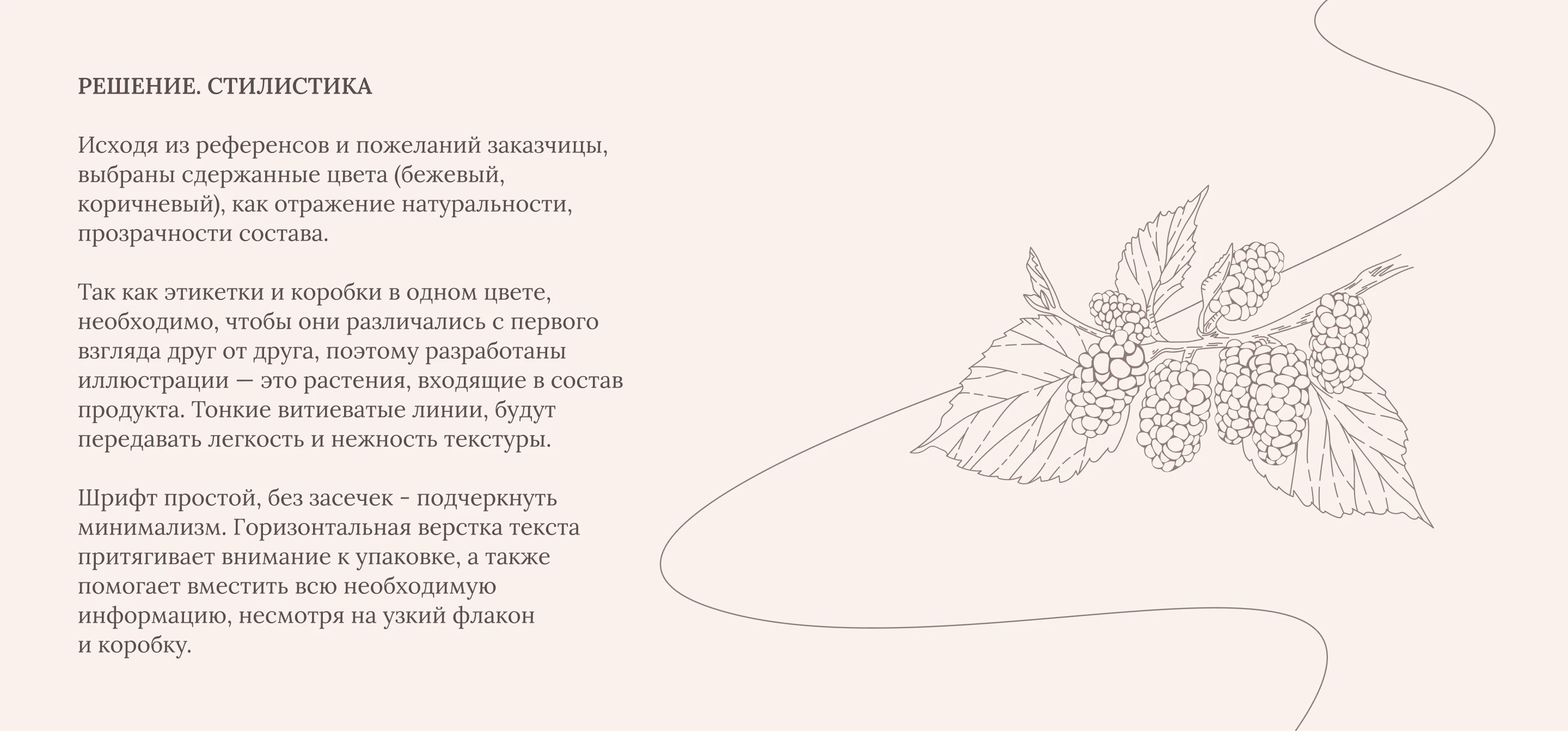 Дизайн упаковки для бренда косметики AMANTIE skincare — Изображение №4 — Брендинг, Графика на Dprofile