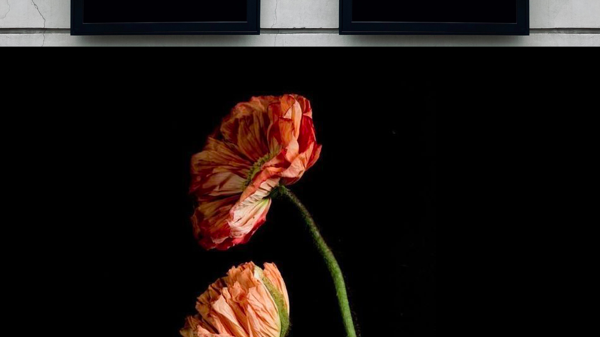 Фирменный стиль для цветочной студии | Willow & Blossom — Изображение №6 — Брендинг, Графика на Dprofile