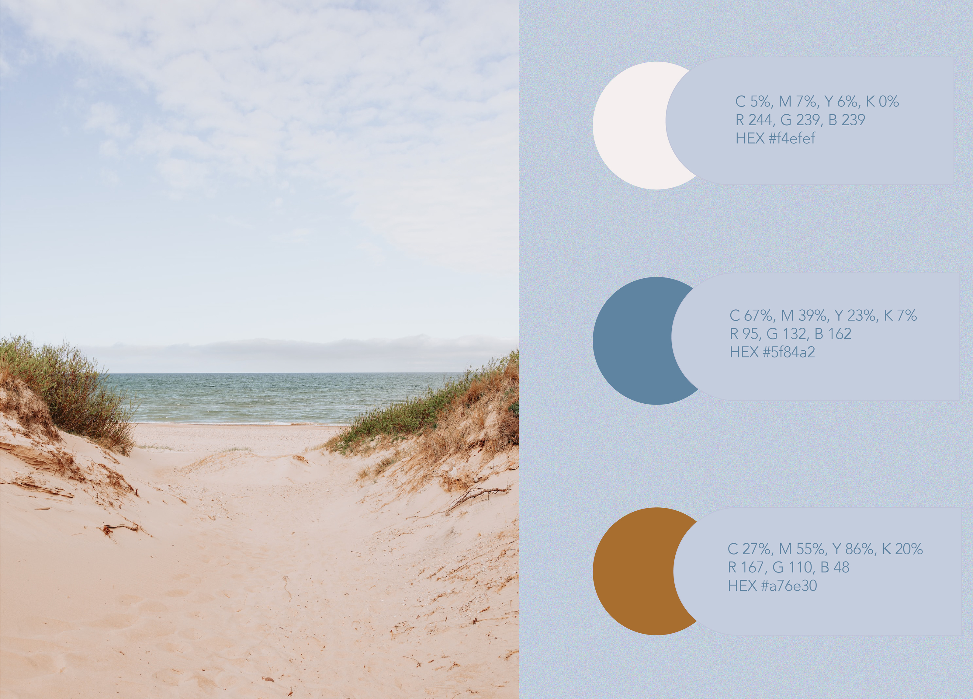 <!--[-->Rida Alieva<!--]--> — Изображение №4 — Брендинг на Dprofile