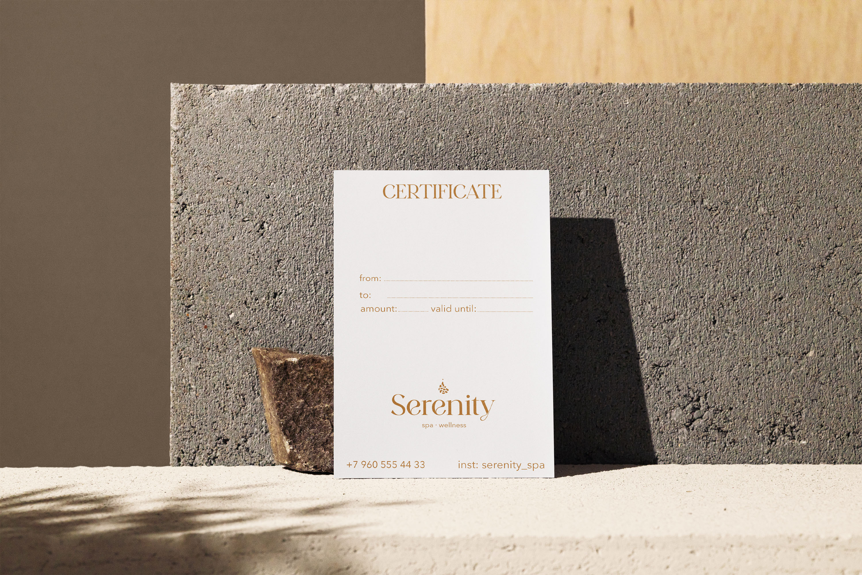 <!--[-->Rida Alieva<!--]--> — Изображение №12 — Брендинг на Dprofile