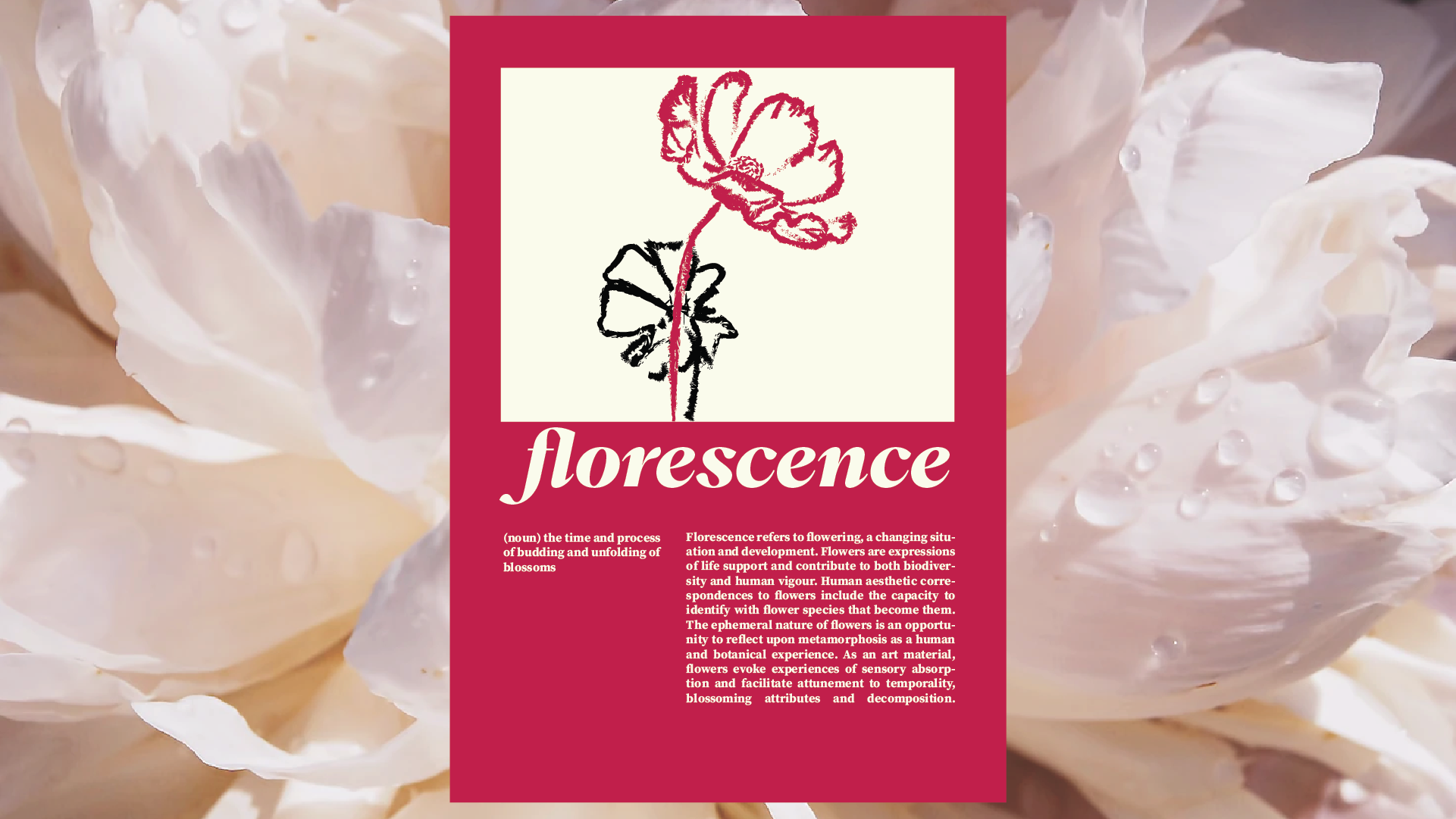 <!--[-->Rida Alieva<!--]--> — Изображение №3 — Иллюстрация, Графика на Dprofile