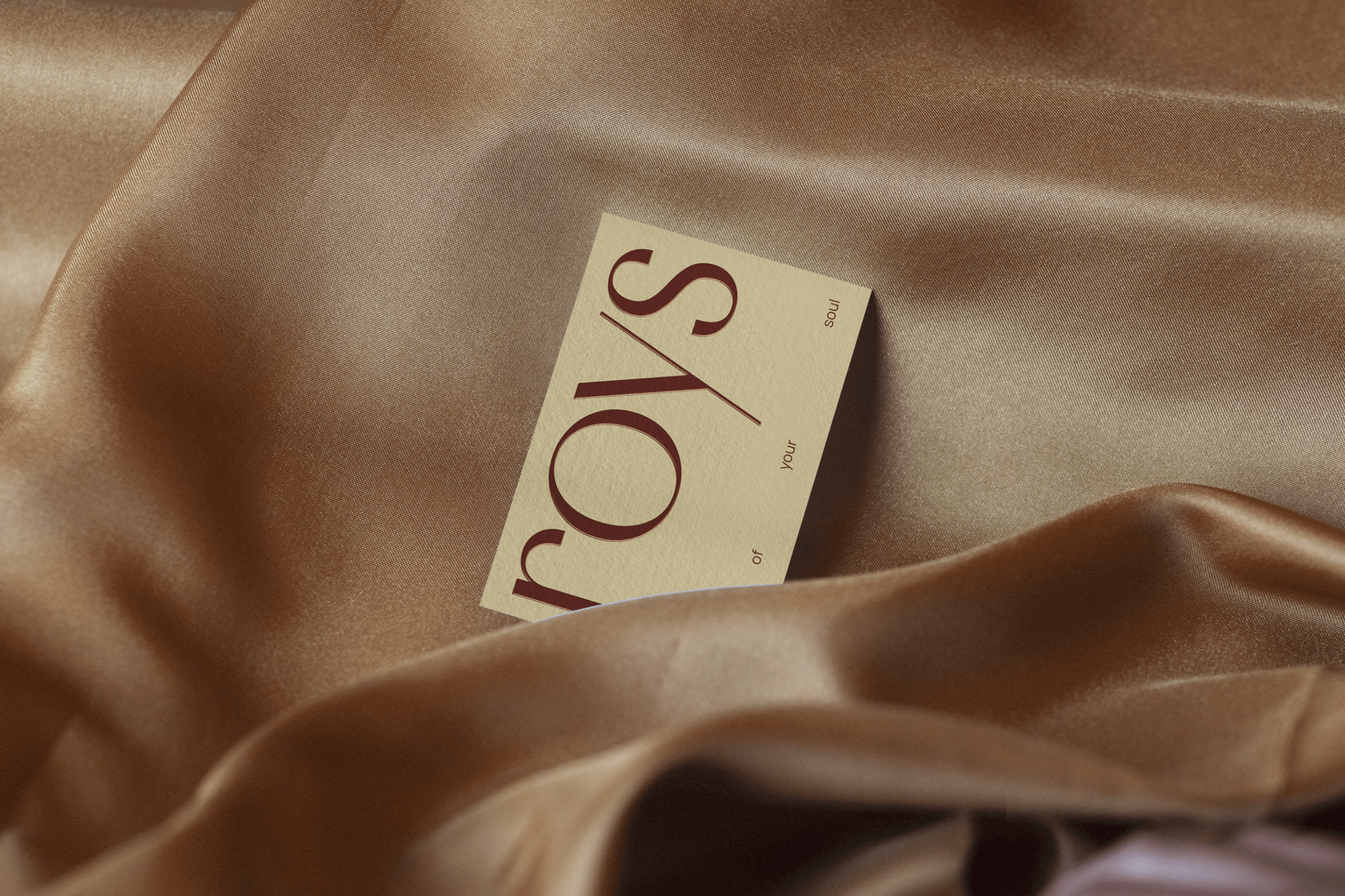 Roys — Изображение №1 — Брендинг, Анимация на Dprofile