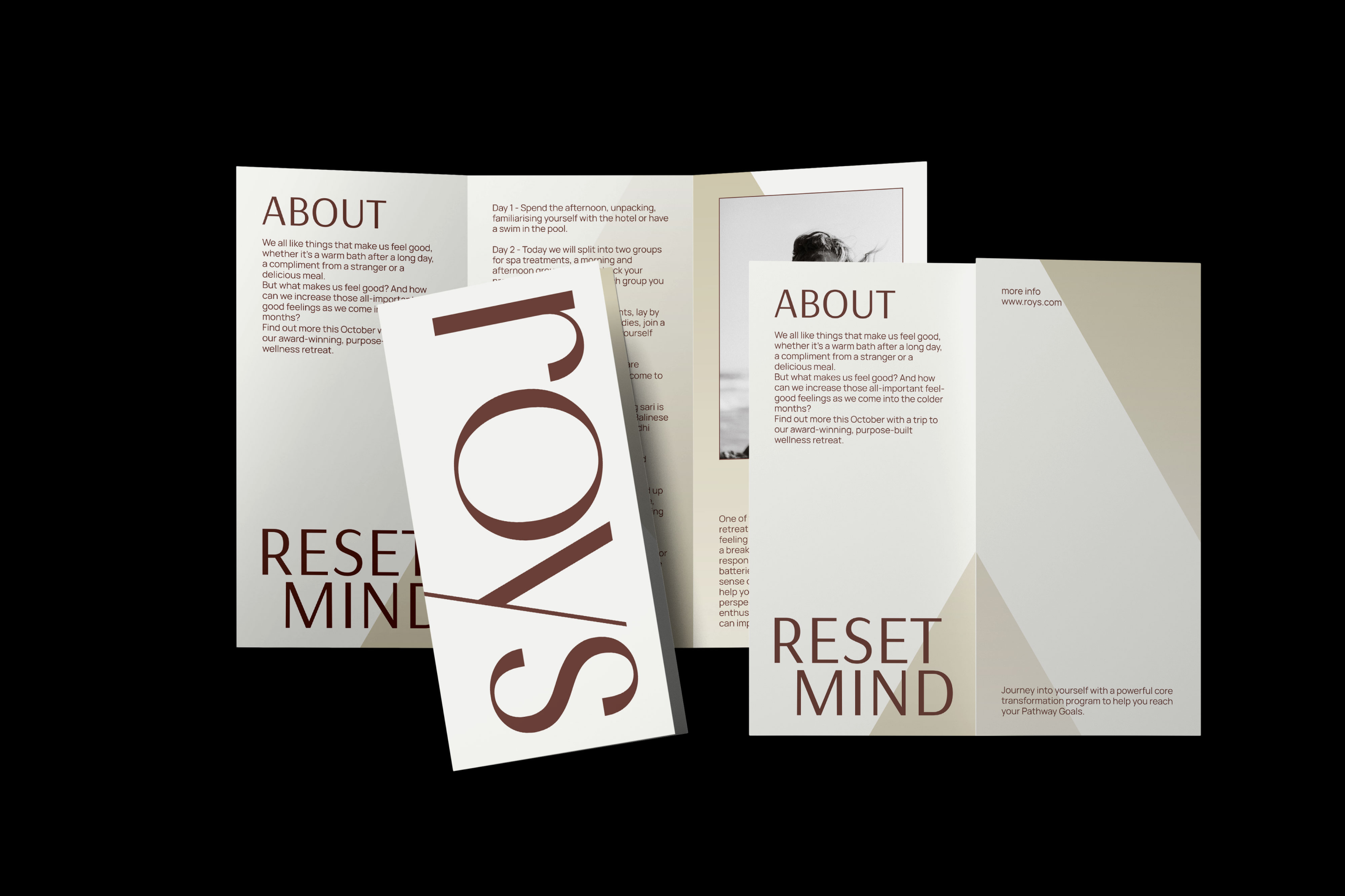 Roys — Изображение №3 — Брендинг, Анимация на Dprofile