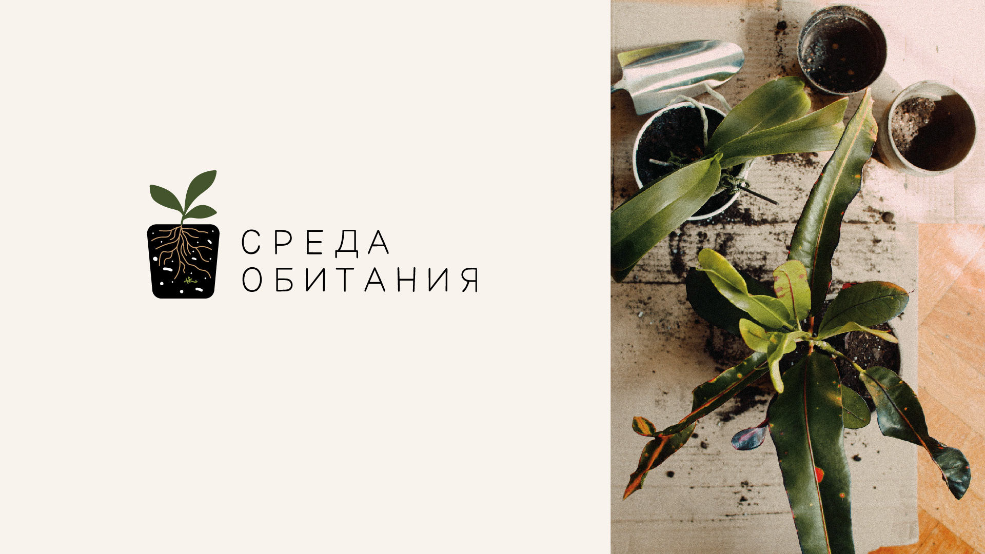 "Среда обитания", логотип для бренда готовых грунтов — Изображение №4 — Графика на Dprofile
