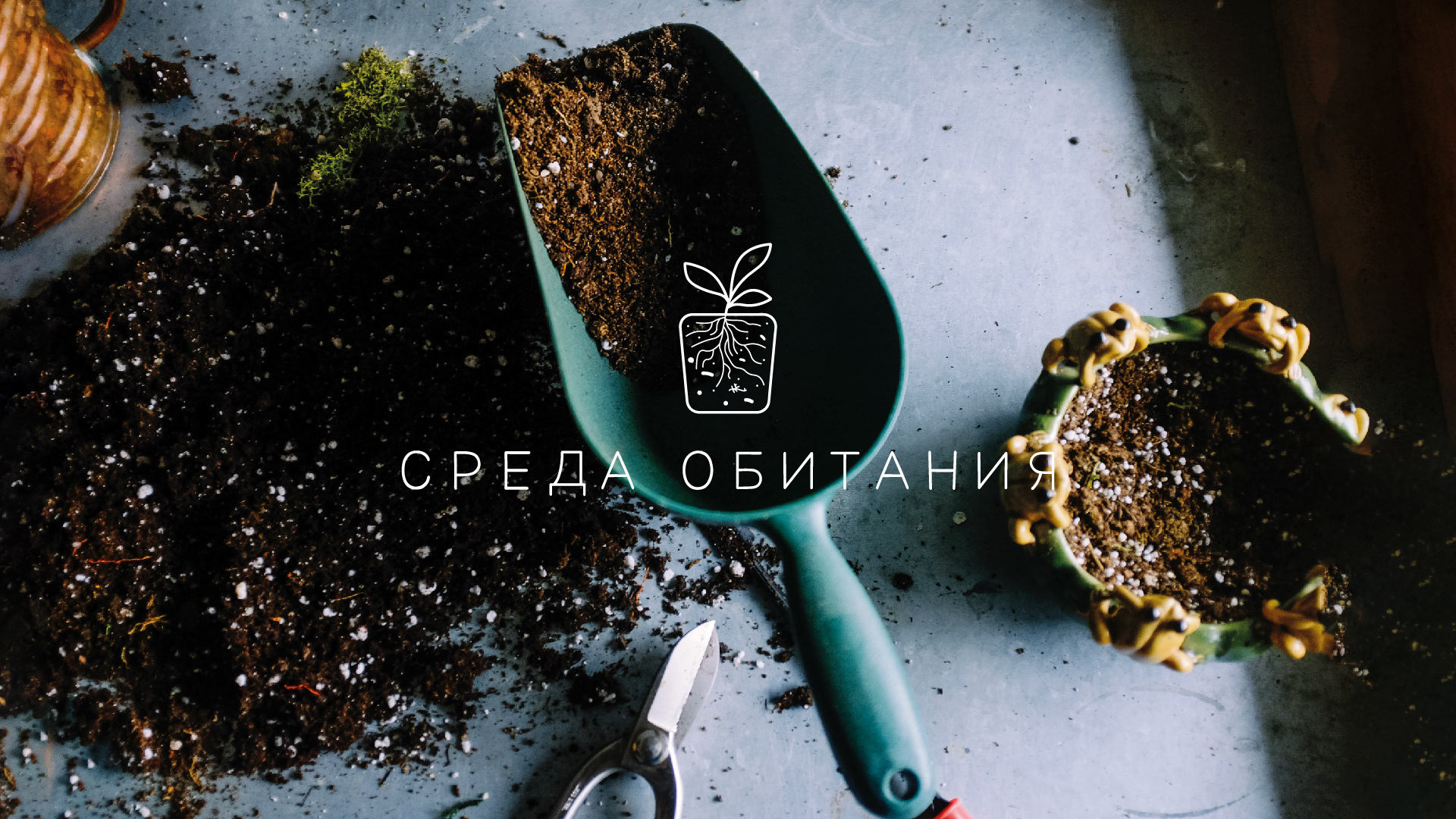 "Среда обитания", логотип для бренда готовых грунтов — Изображение №8 — Графика на Dprofile
