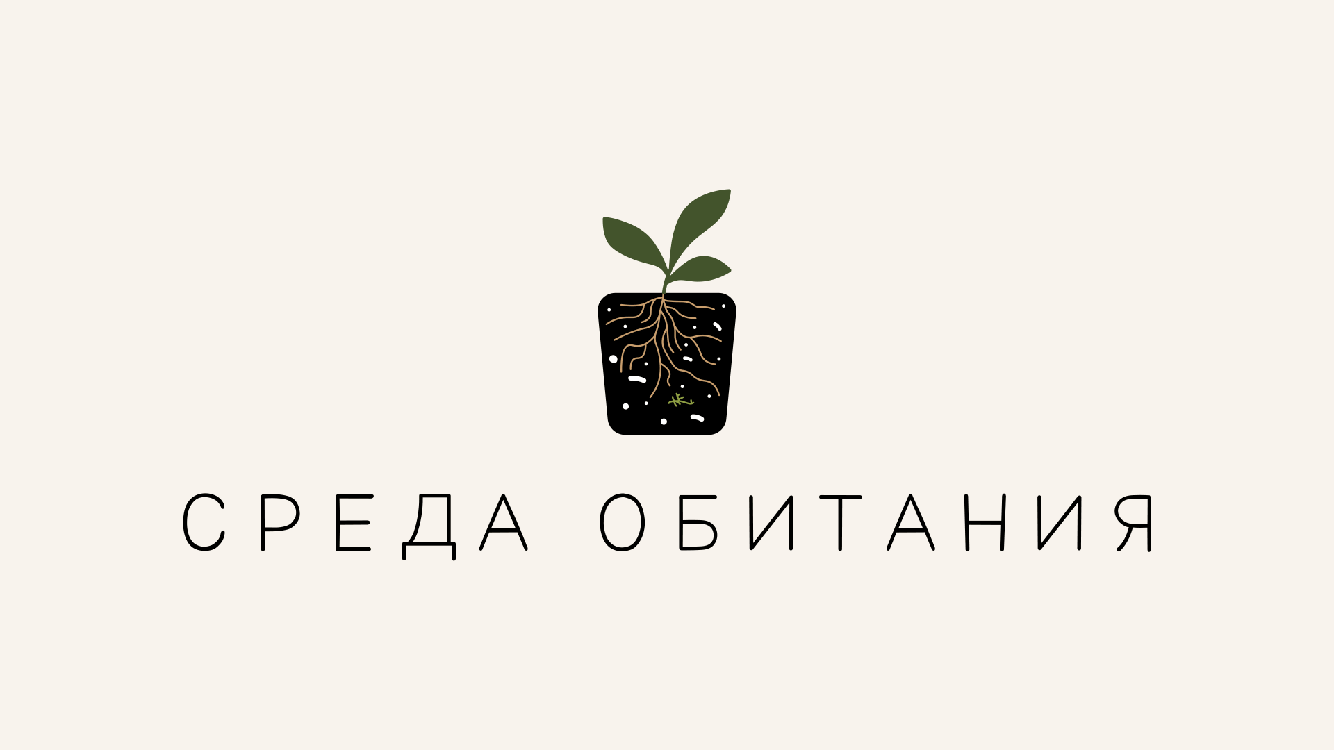"Среда обитания", логотип для бренда готовых грунтов — Изображение №3 — Графика на Dprofile