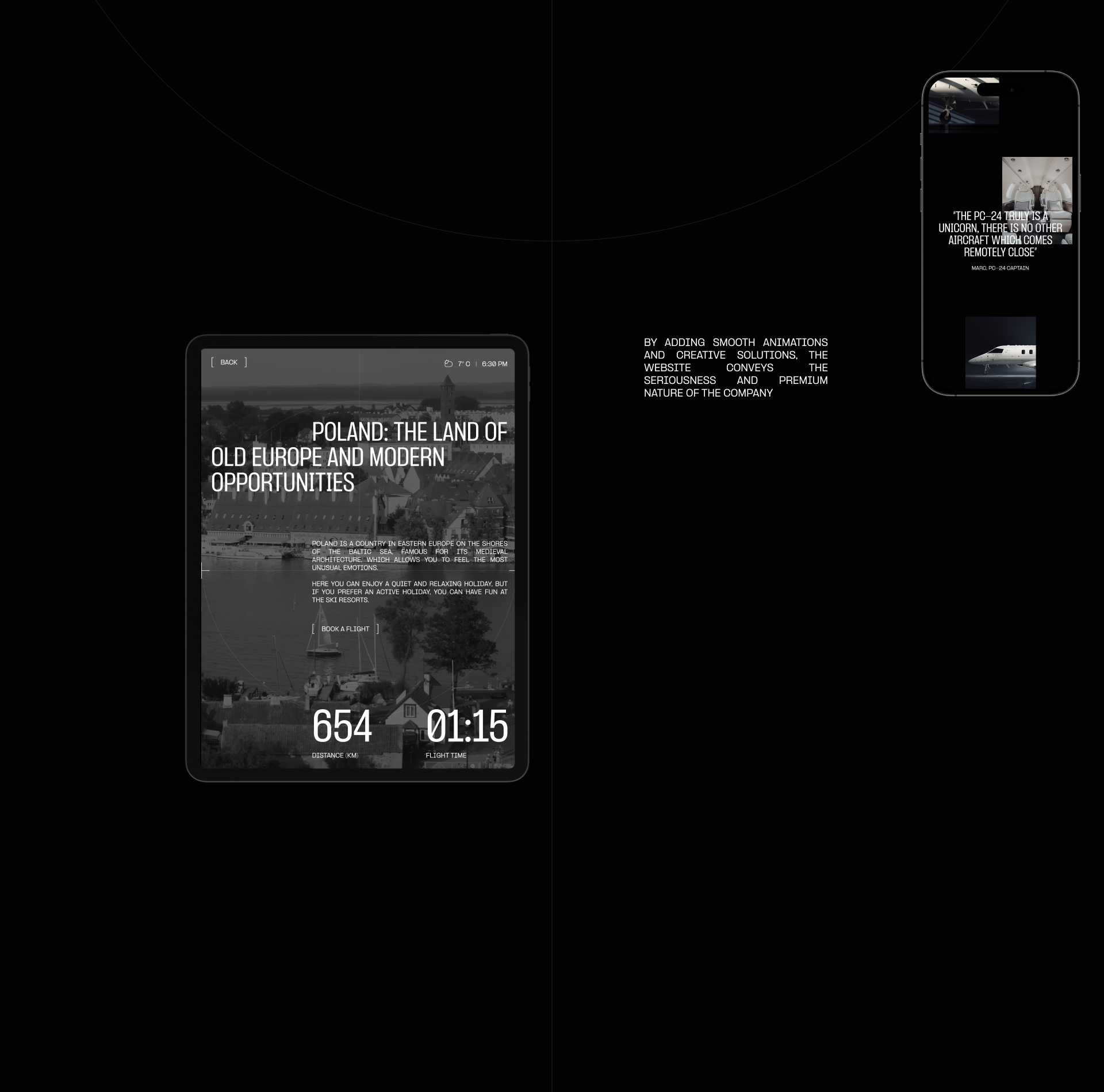 PLATOON AVIATION® | web. & branding — Изображение №7 — Интерфейсы, Брендинг на Dprofile
