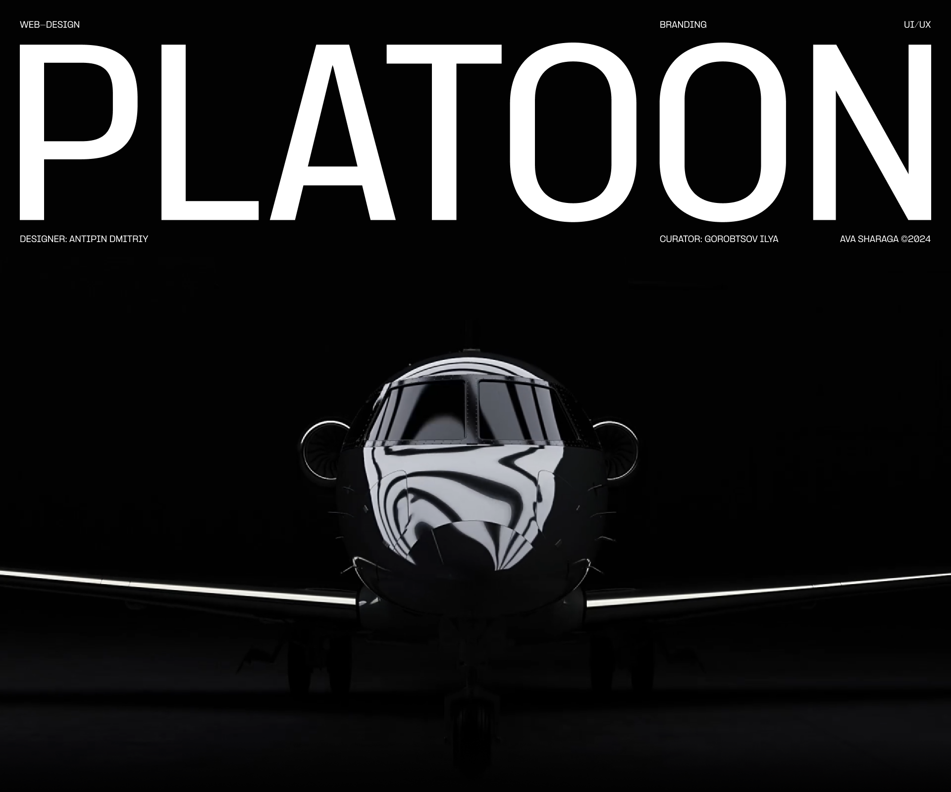 PLATOON AVIATION® | web. & branding — Изображение №1 — Интерфейсы, Брендинг на Dprofile