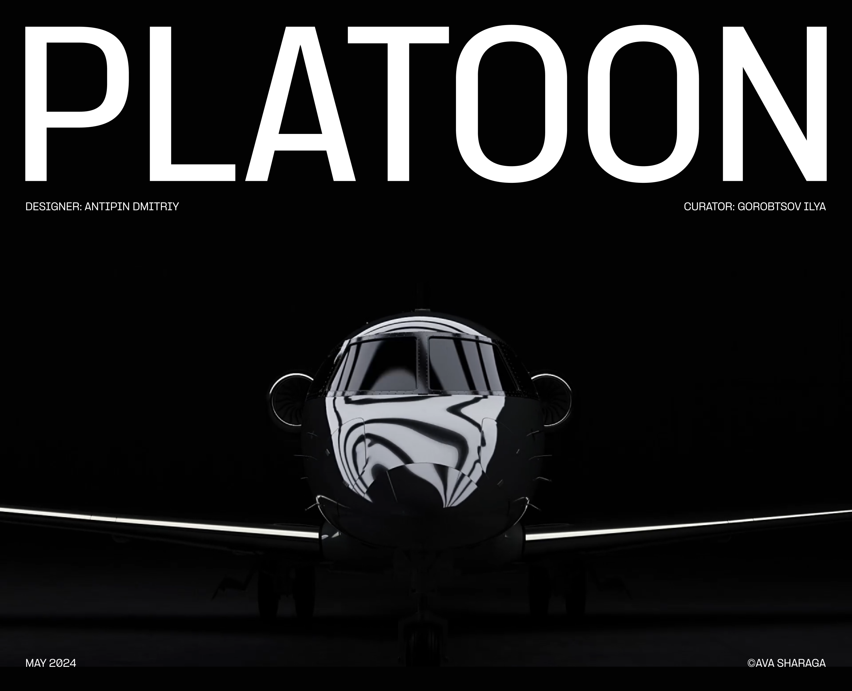 PLATOON AVIATION® | web. & branding на Dprofile