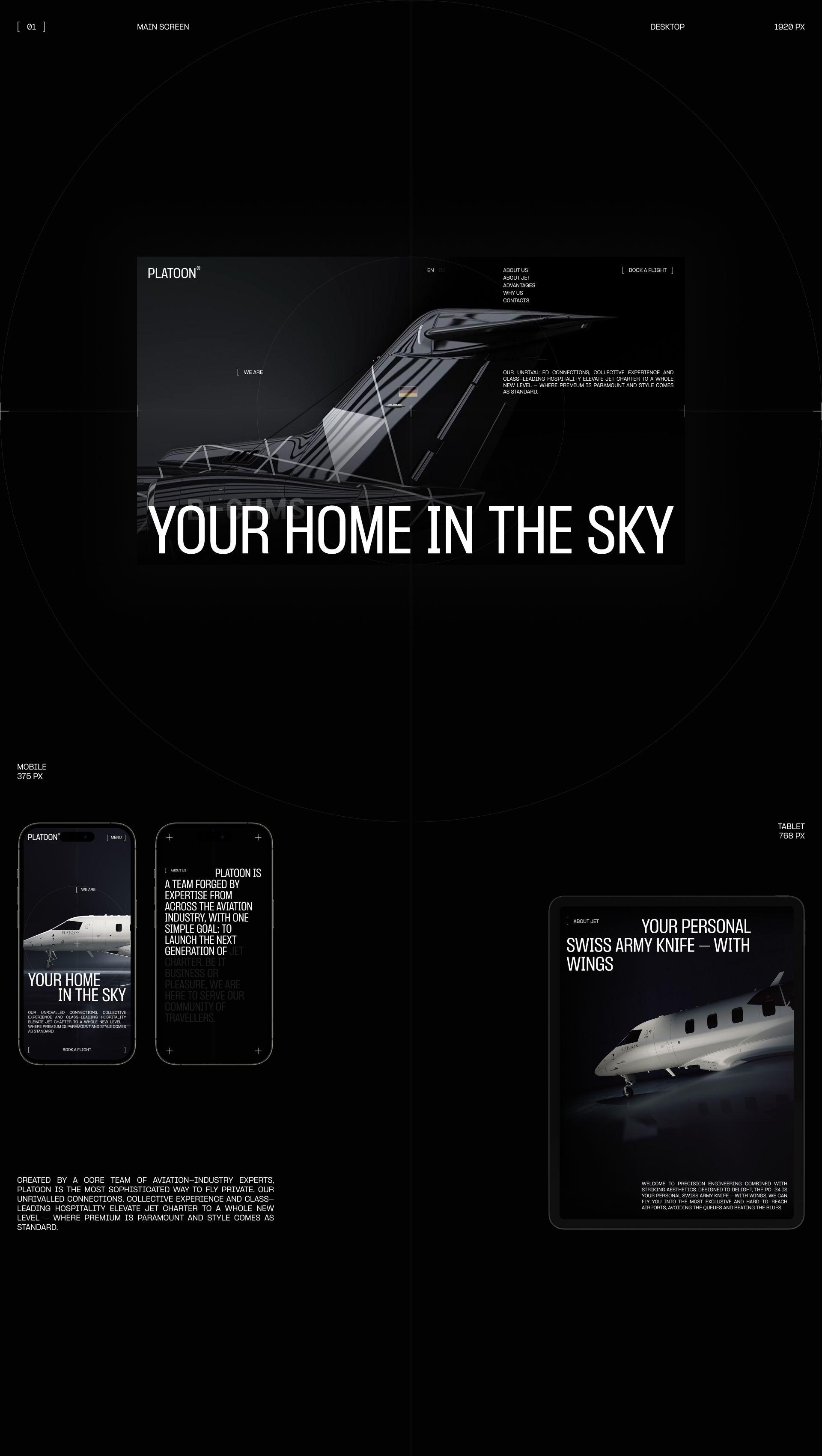 PLATOON AVIATION® | web. & branding — Изображение №2 — Интерфейсы, Брендинг на Dprofile