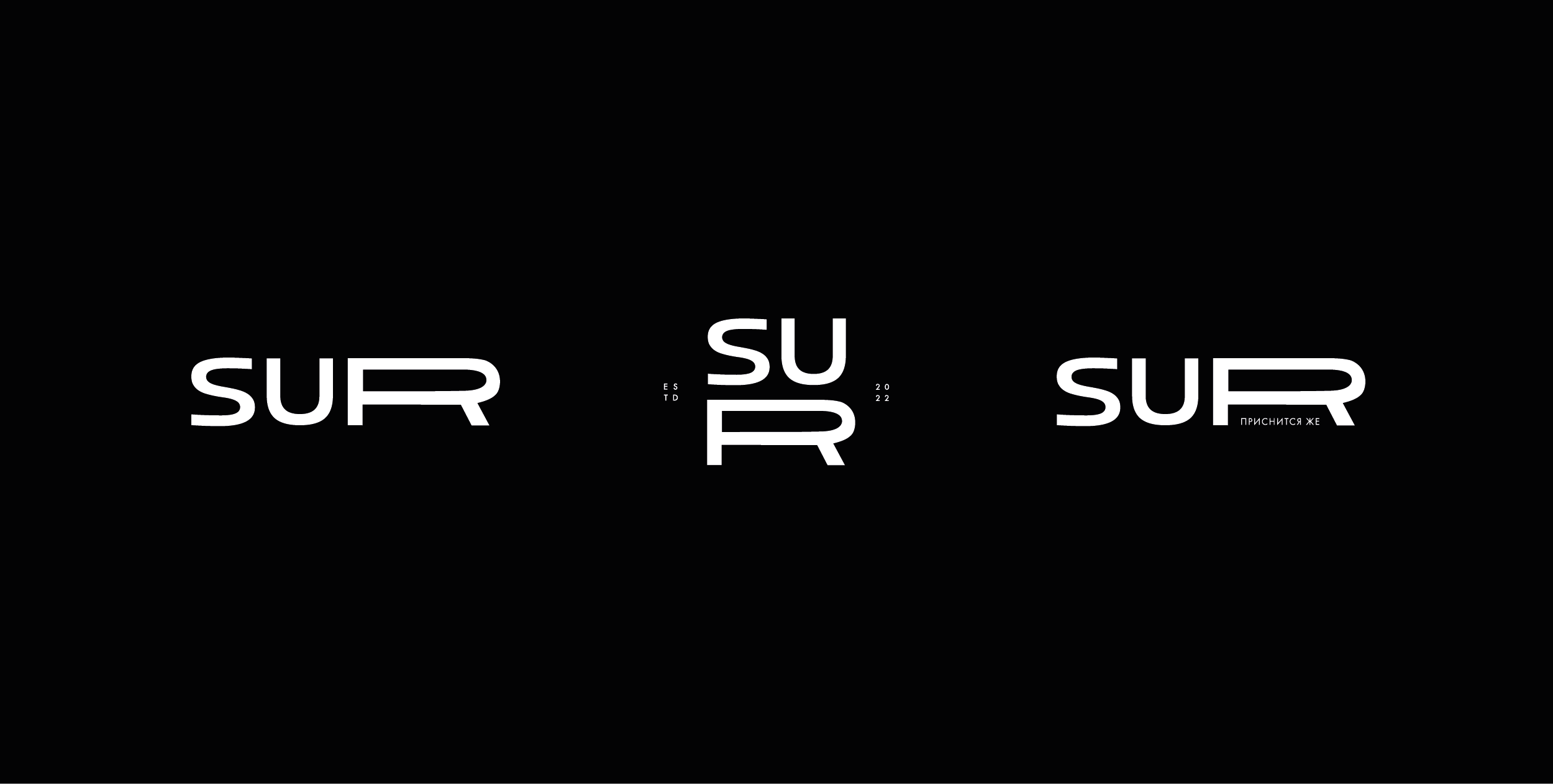 SUR brand identity / Фирменный стиль постельное бельё — Изображение №7 — Брендинг, Графика на Dprofile