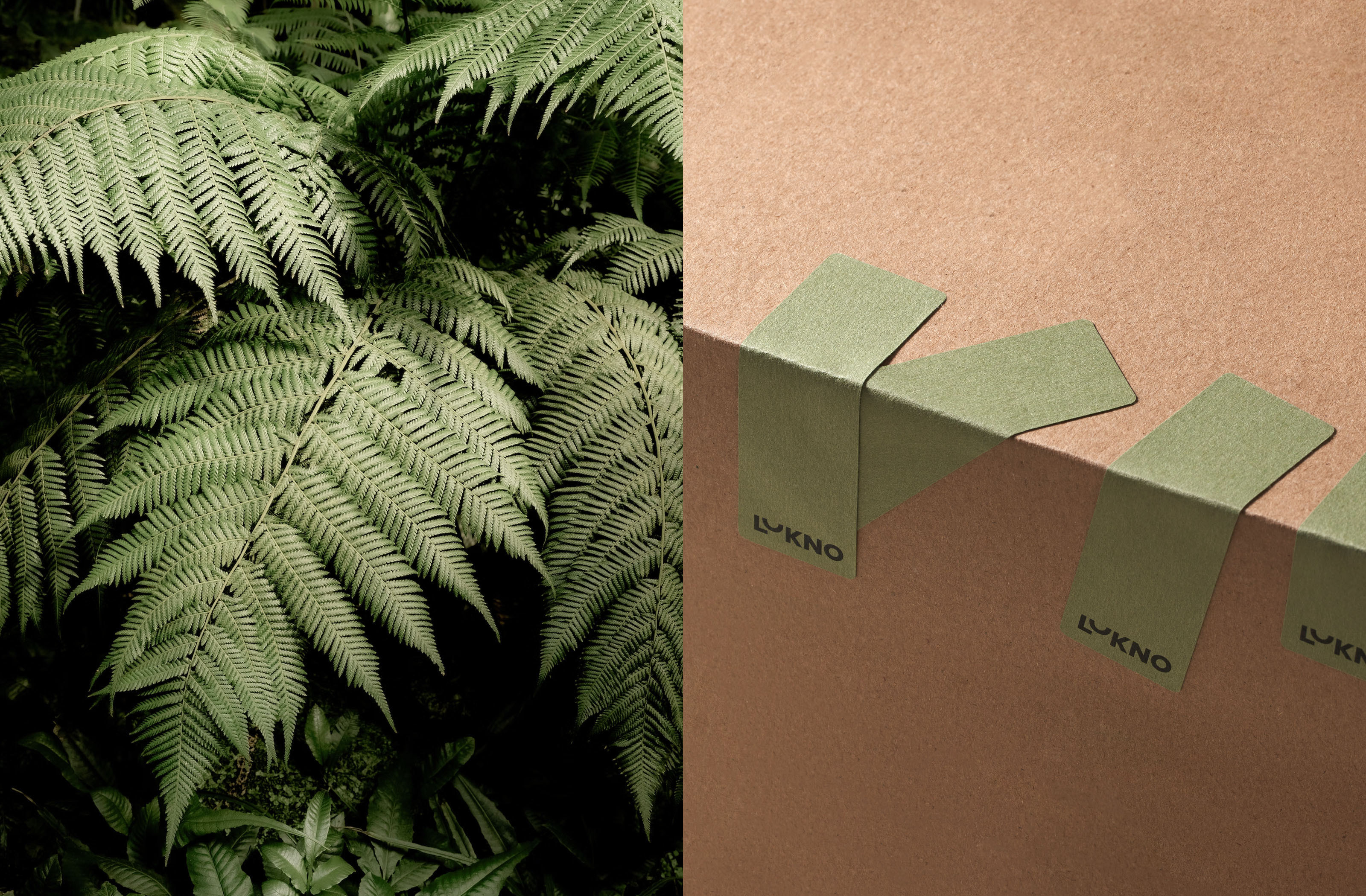 Lukno — Изображение №18 — Брендинг на Dprofile