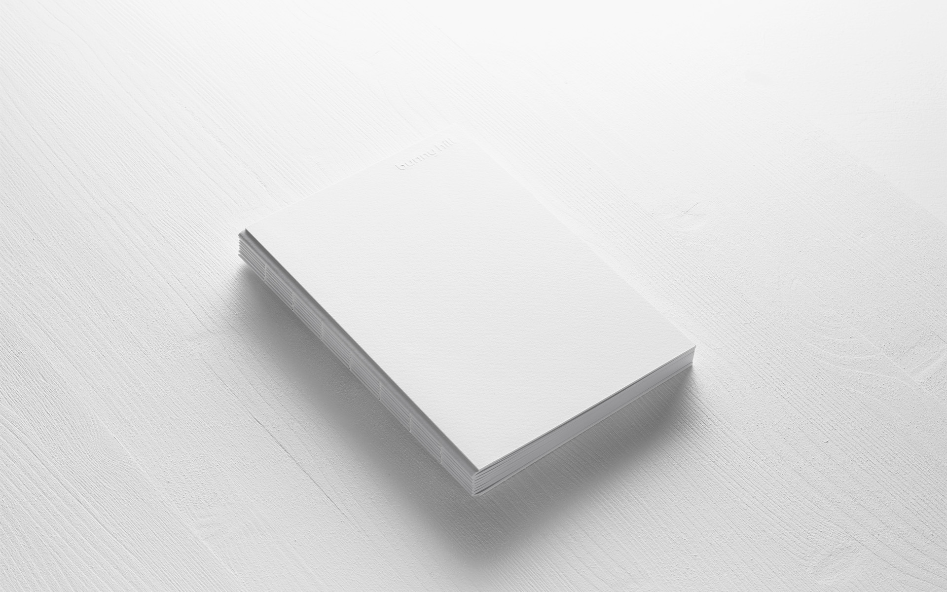 Bunny Hill — Изображение №15 — Брендинг, Графика на Dprofile