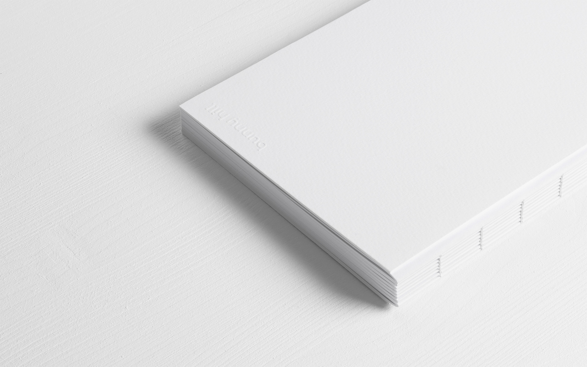 Bunny Hill — Изображение №9 — Брендинг, Графика на Dprofile