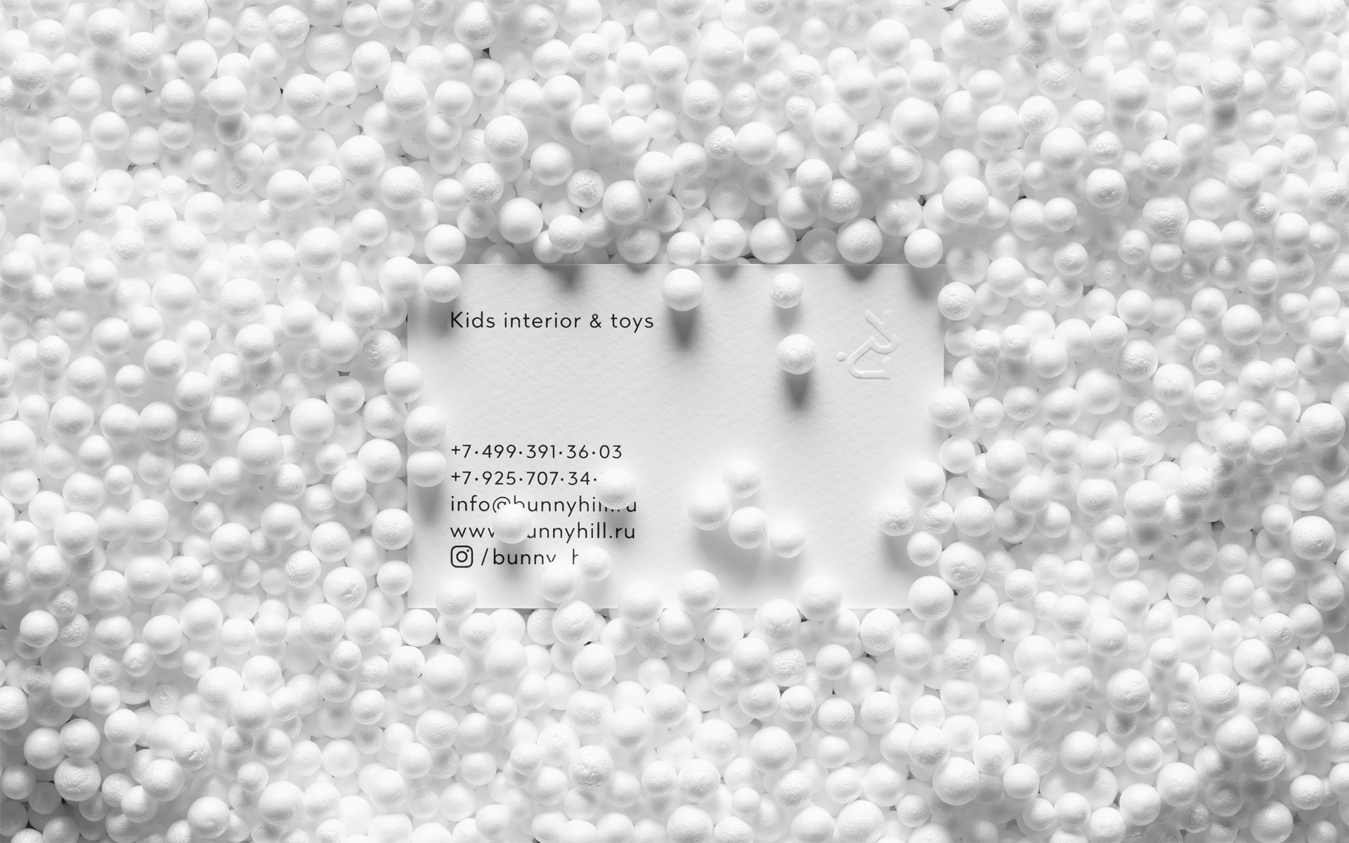 Bunny Hill — Изображение №21 — Брендинг, Графика на Dprofile