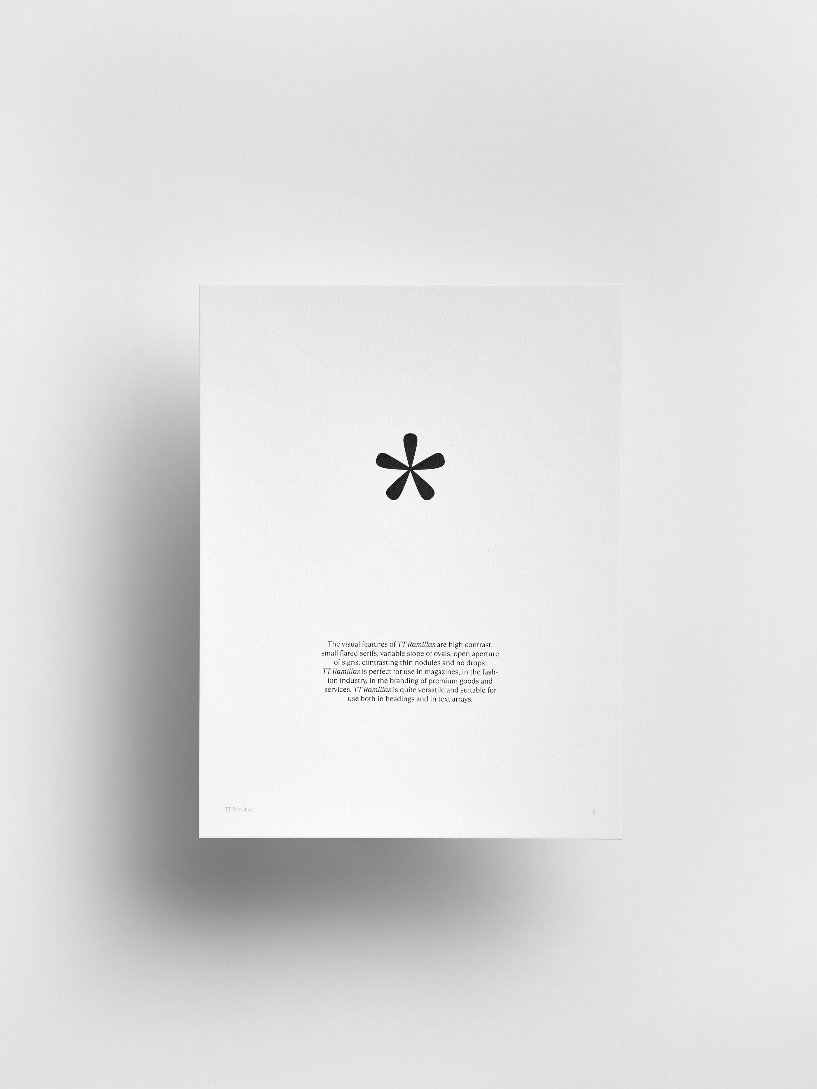 Шрифт TT Ramillas и специмен — Изображение №13 — Брендинг, Графика на Dprofile