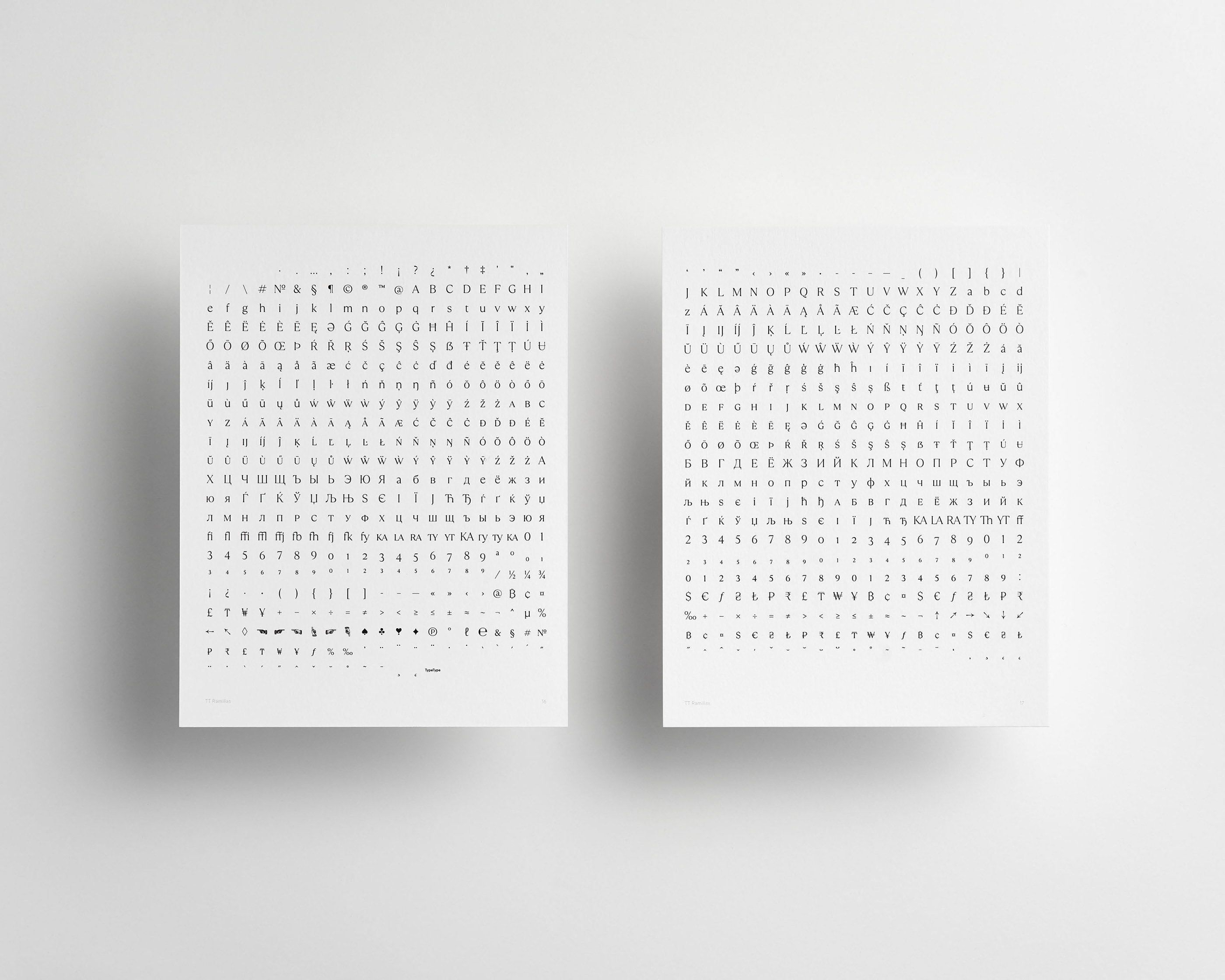 Шрифт TT Ramillas и специмен — Изображение №25 — Брендинг, Графика на Dprofile