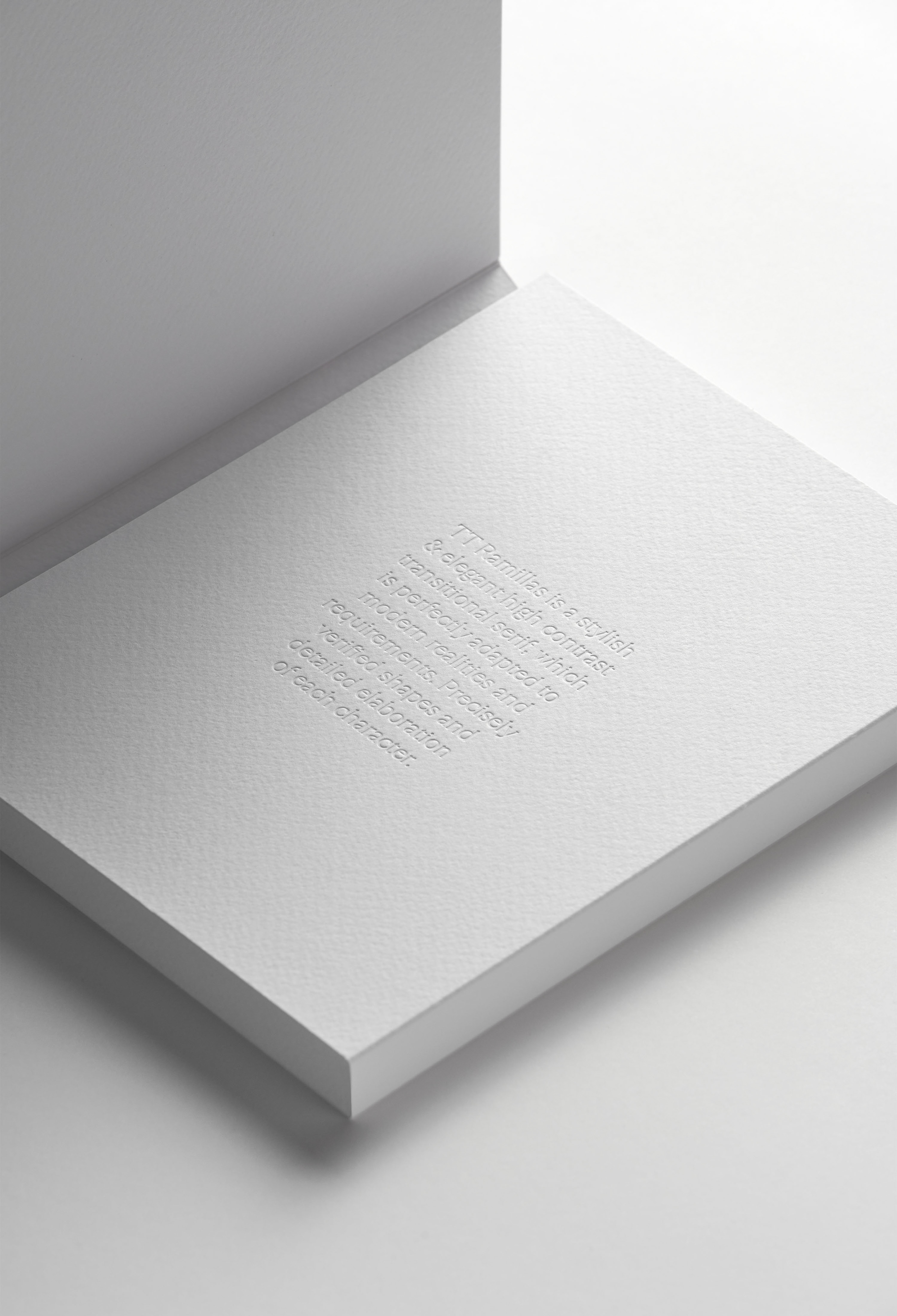 Шрифт TT Ramillas и специмен — Изображение №3 — Брендинг, Графика на Dprofile