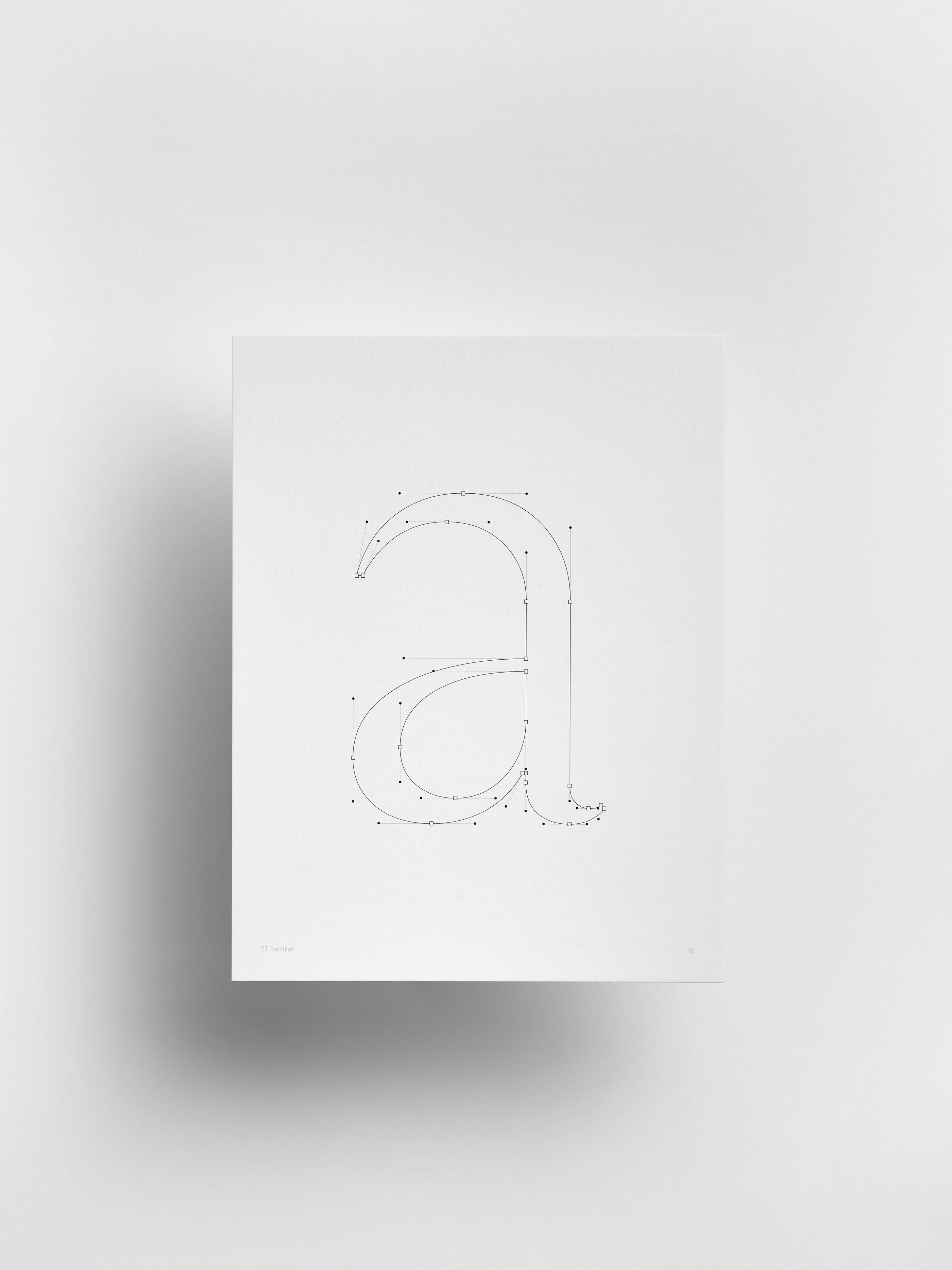 Шрифт TT Ramillas и специмен — Изображение №16 — Брендинг, Графика на Dprofile