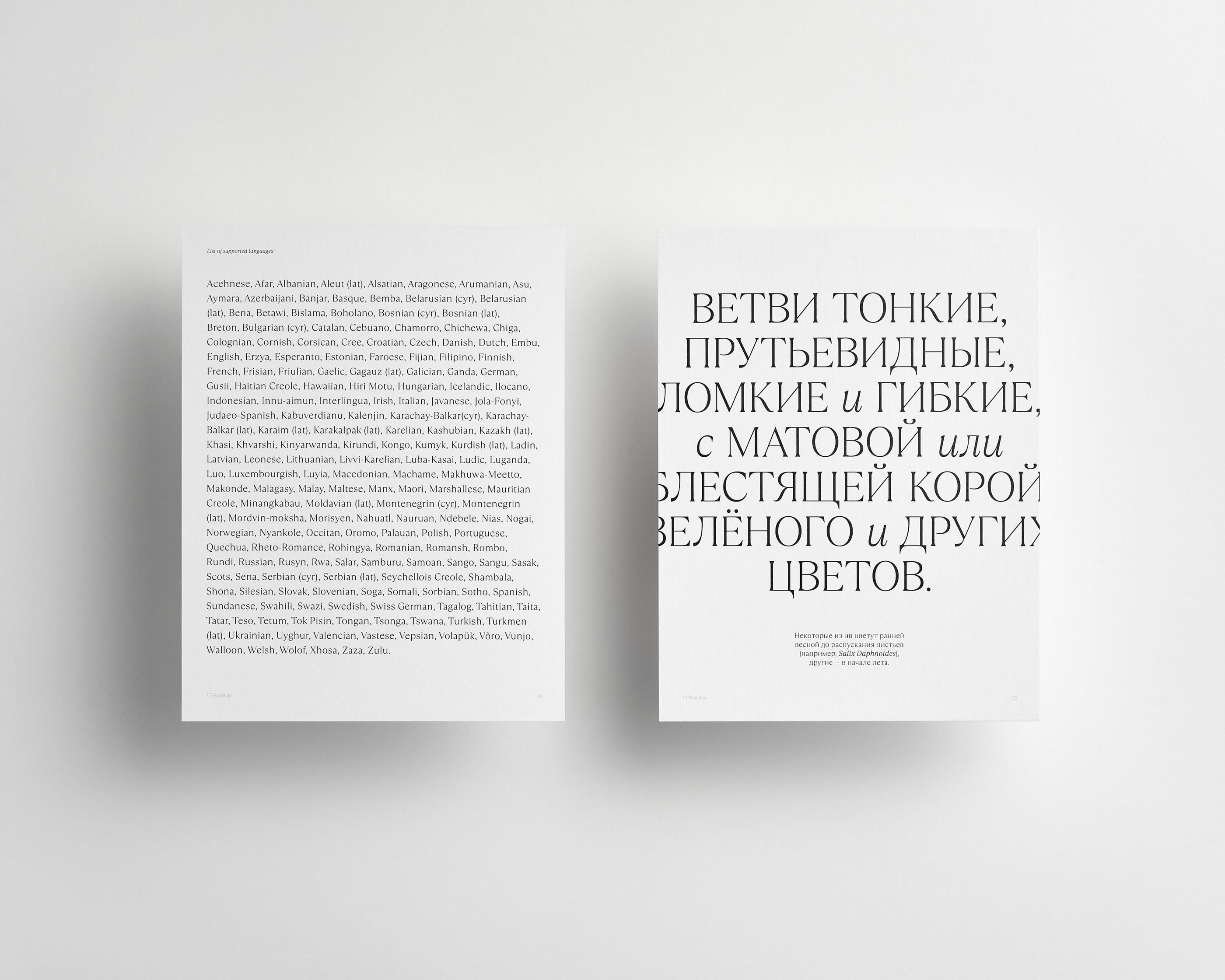 Шрифт TT Ramillas и специмен — Изображение №22 — Брендинг, Графика на Dprofile