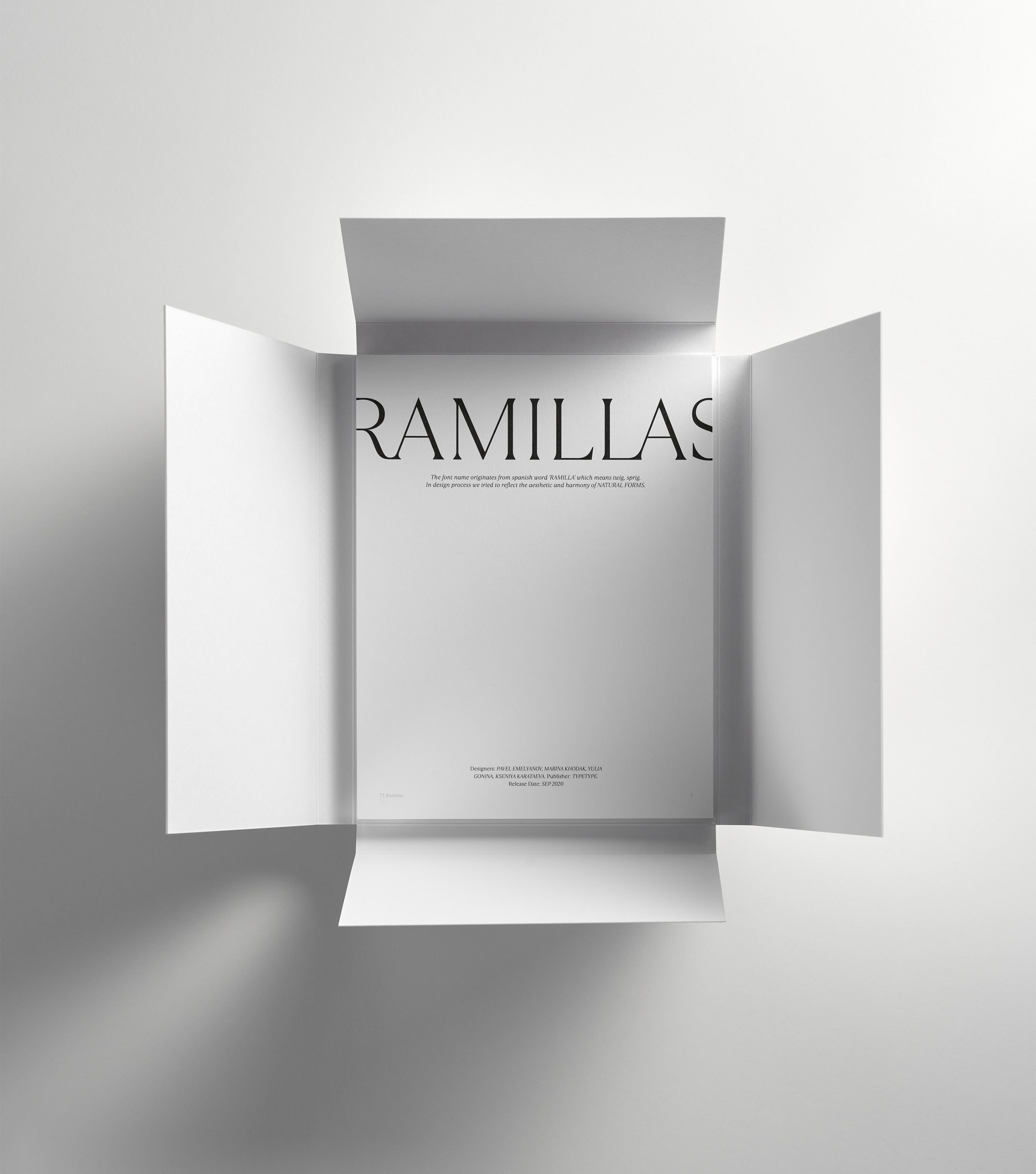 Шрифт TT Ramillas и специмен — Изображение №9 — Брендинг, Графика на Dprofile