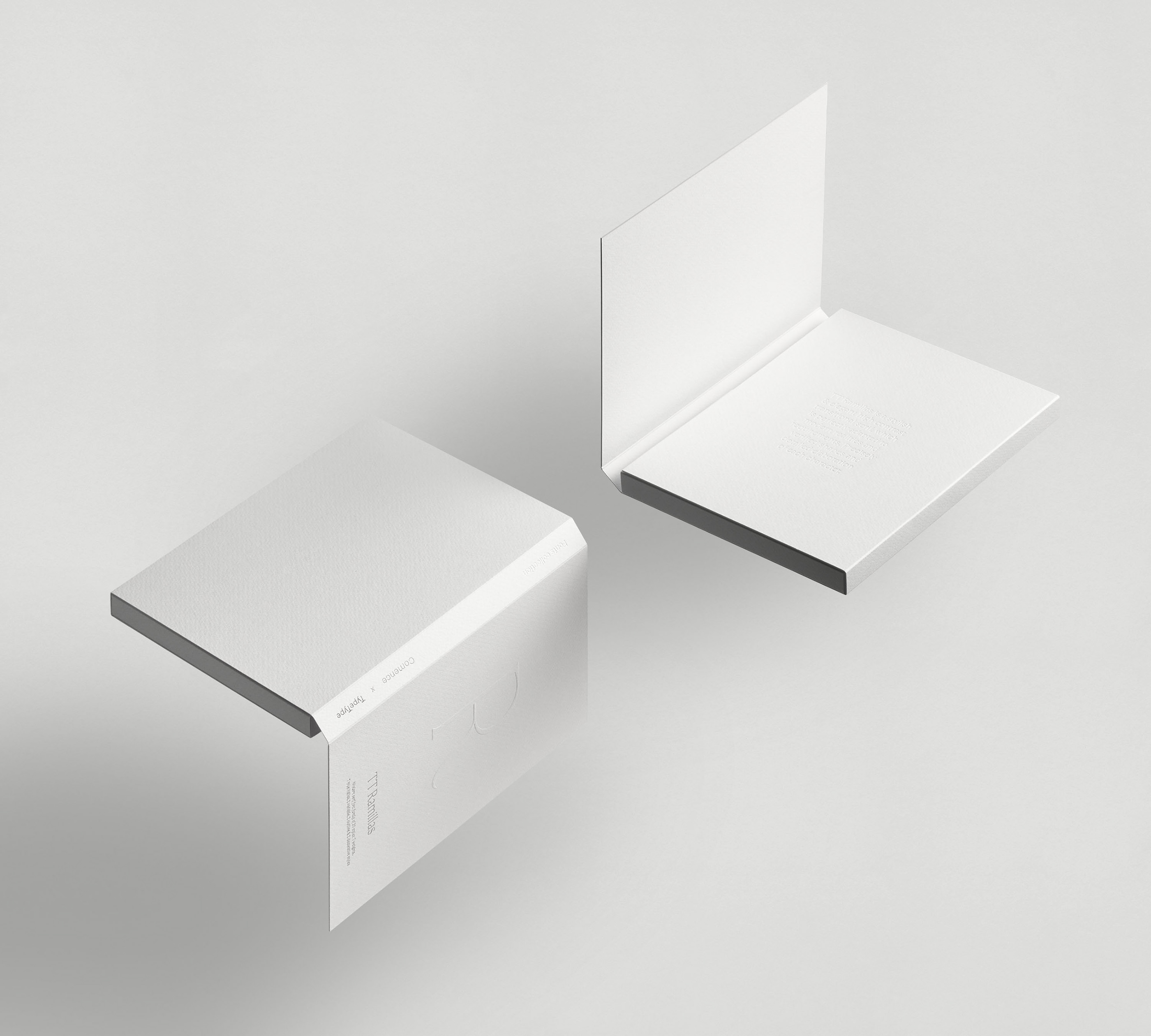 Шрифт TT Ramillas и специмен — Изображение №6 — Брендинг, Графика на Dprofile