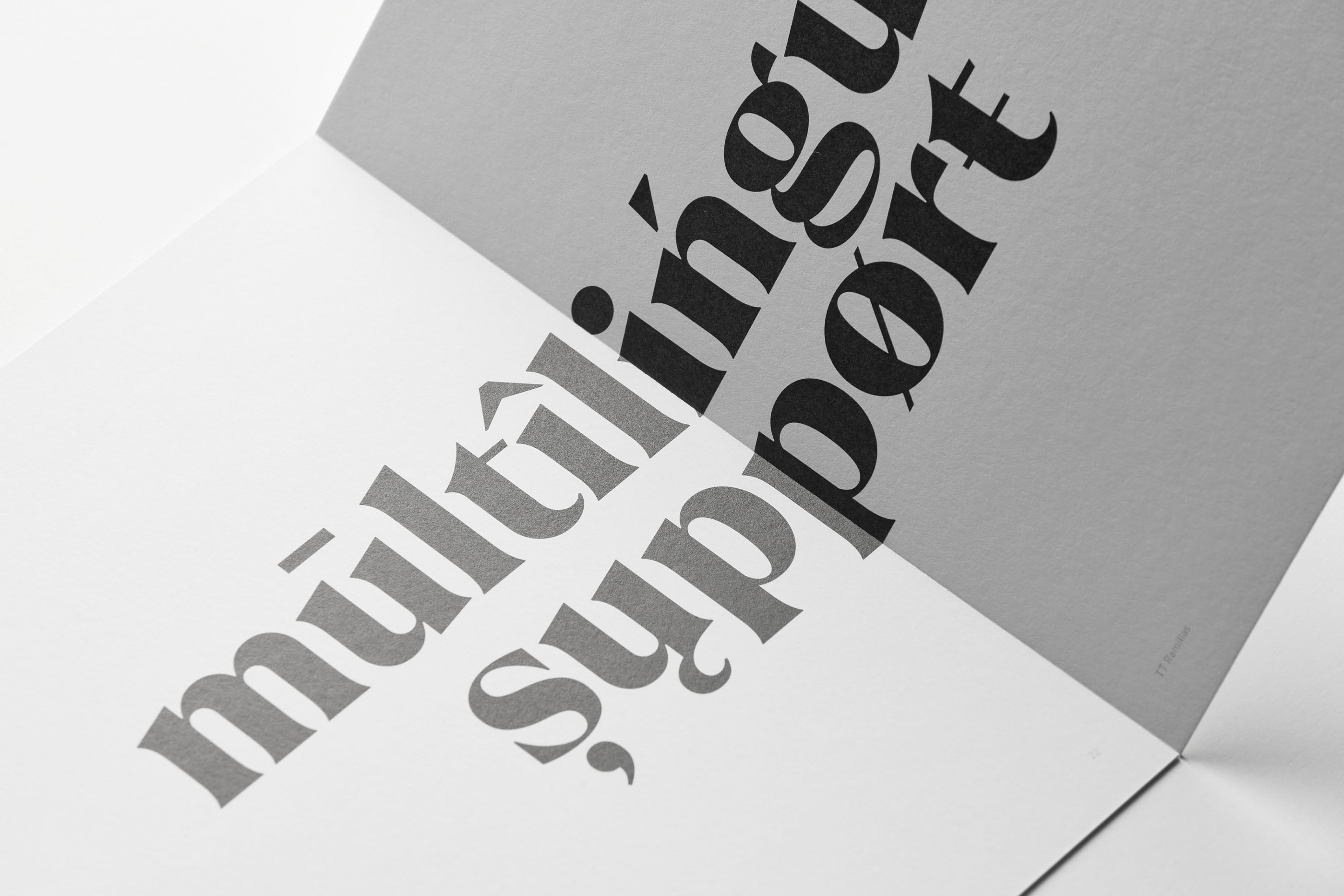 Шрифт TT Ramillas и специмен — Изображение №21 — Брендинг, Графика на Dprofile