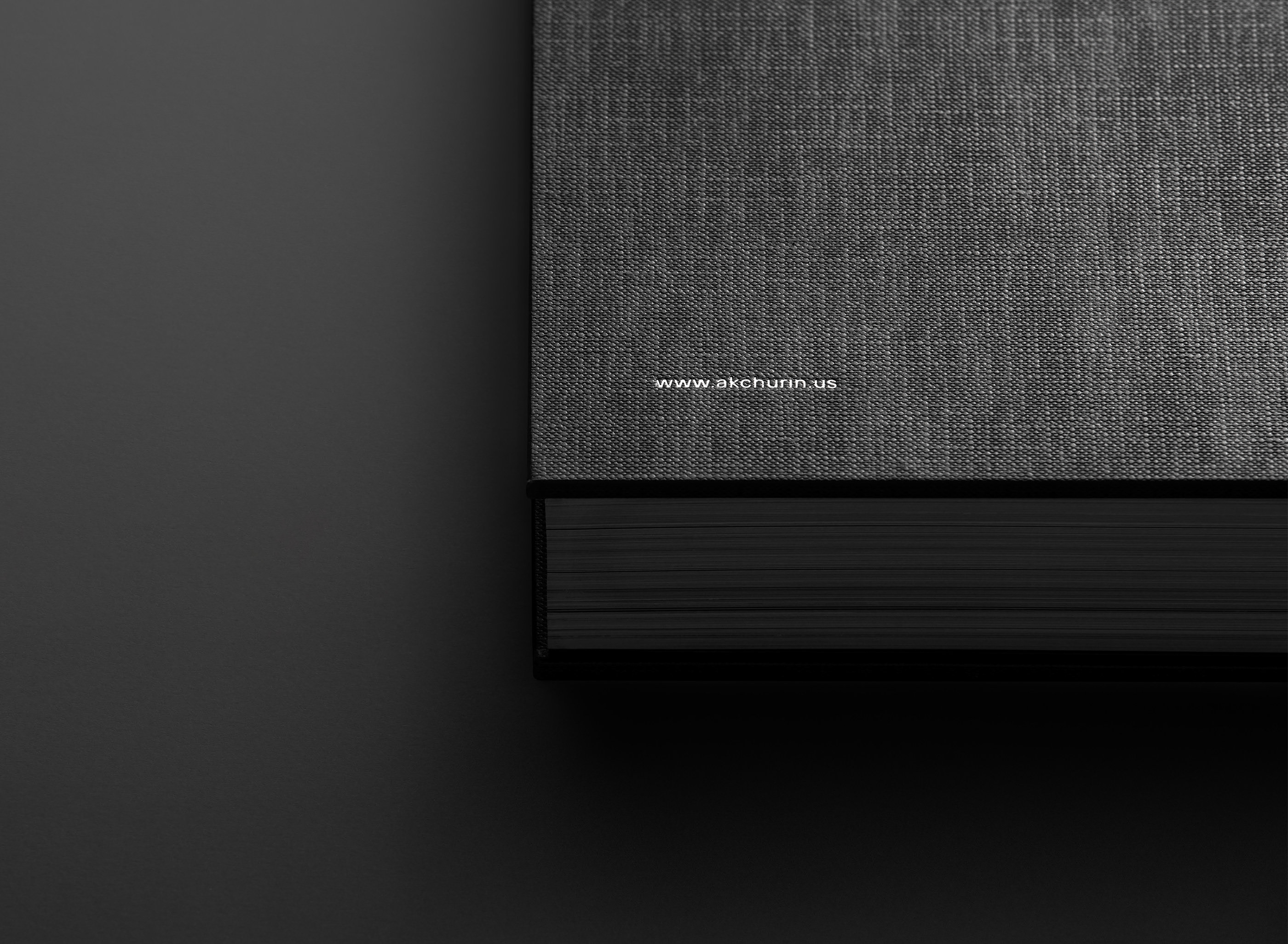 Akchurin New York Book — Изображение №28 — Брендинг, Графика на Dprofile