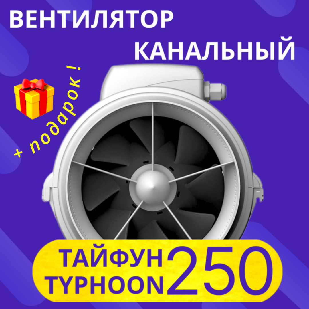 Инфографика Озон — Изображение №2 — Маркетинг на Dprofile