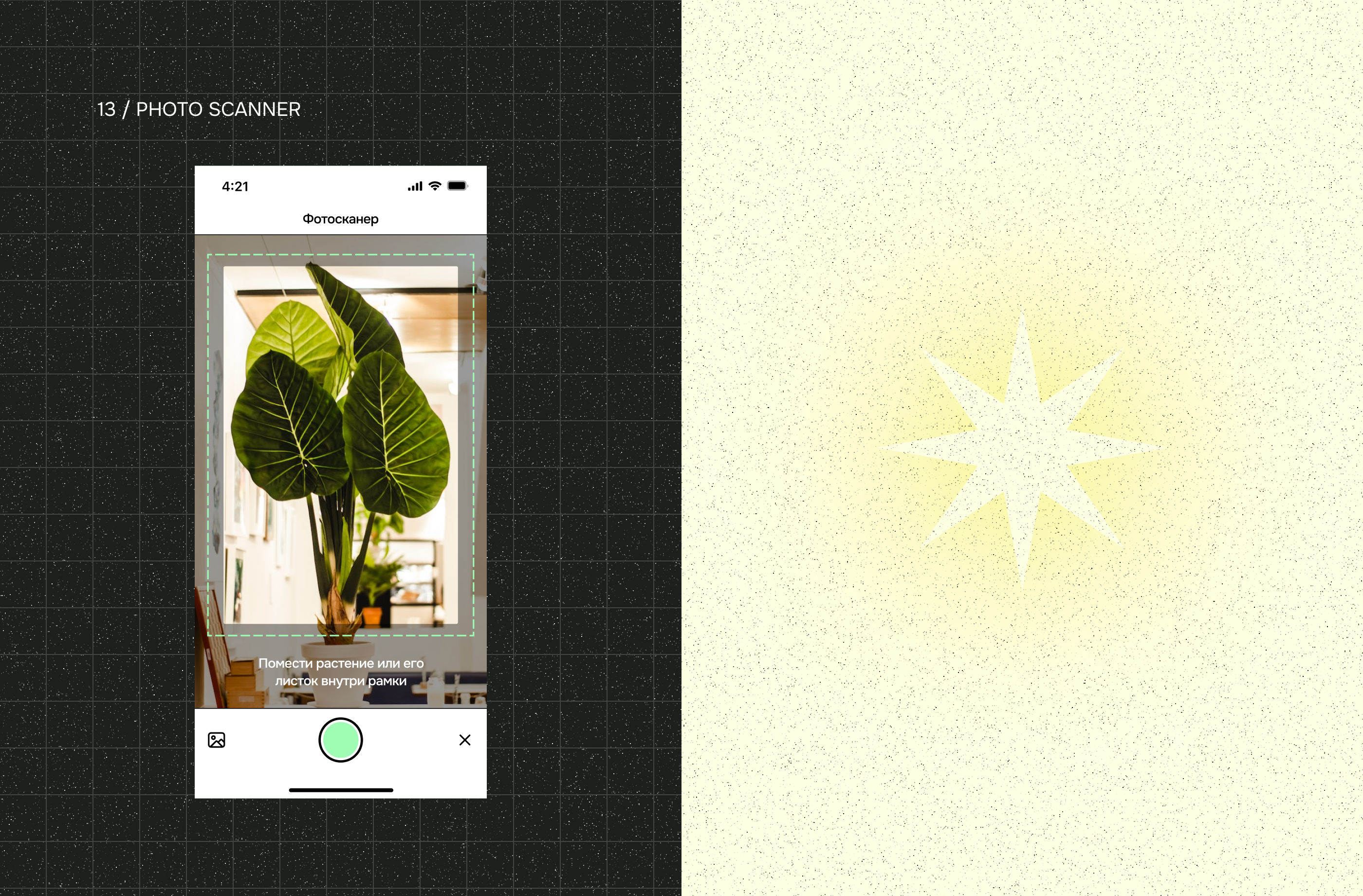 neobrutalism plant care app ui/ux — Изображение №11 — Интерфейсы на Dprofile