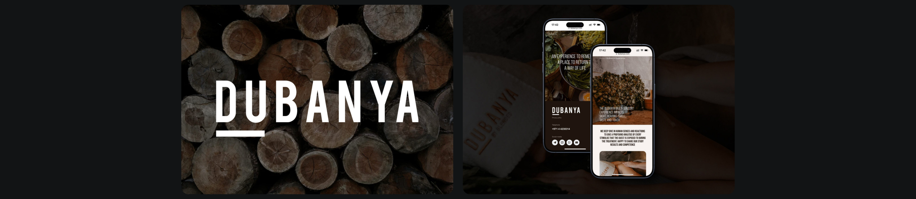 Dubanya | MaimeBV — Изображение №8 — Интерфейсы на Dprofile