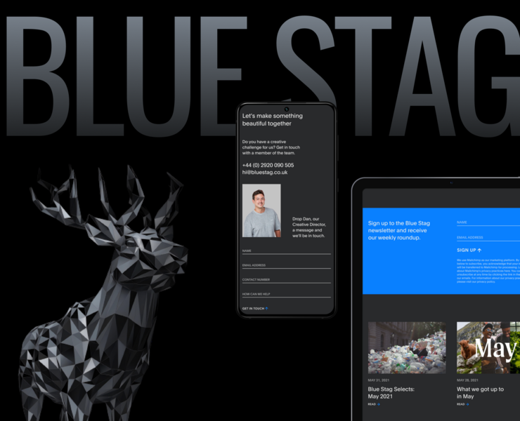 Дизайн-концепт студии BLUE STAG — Интерфейсы на Dprofile