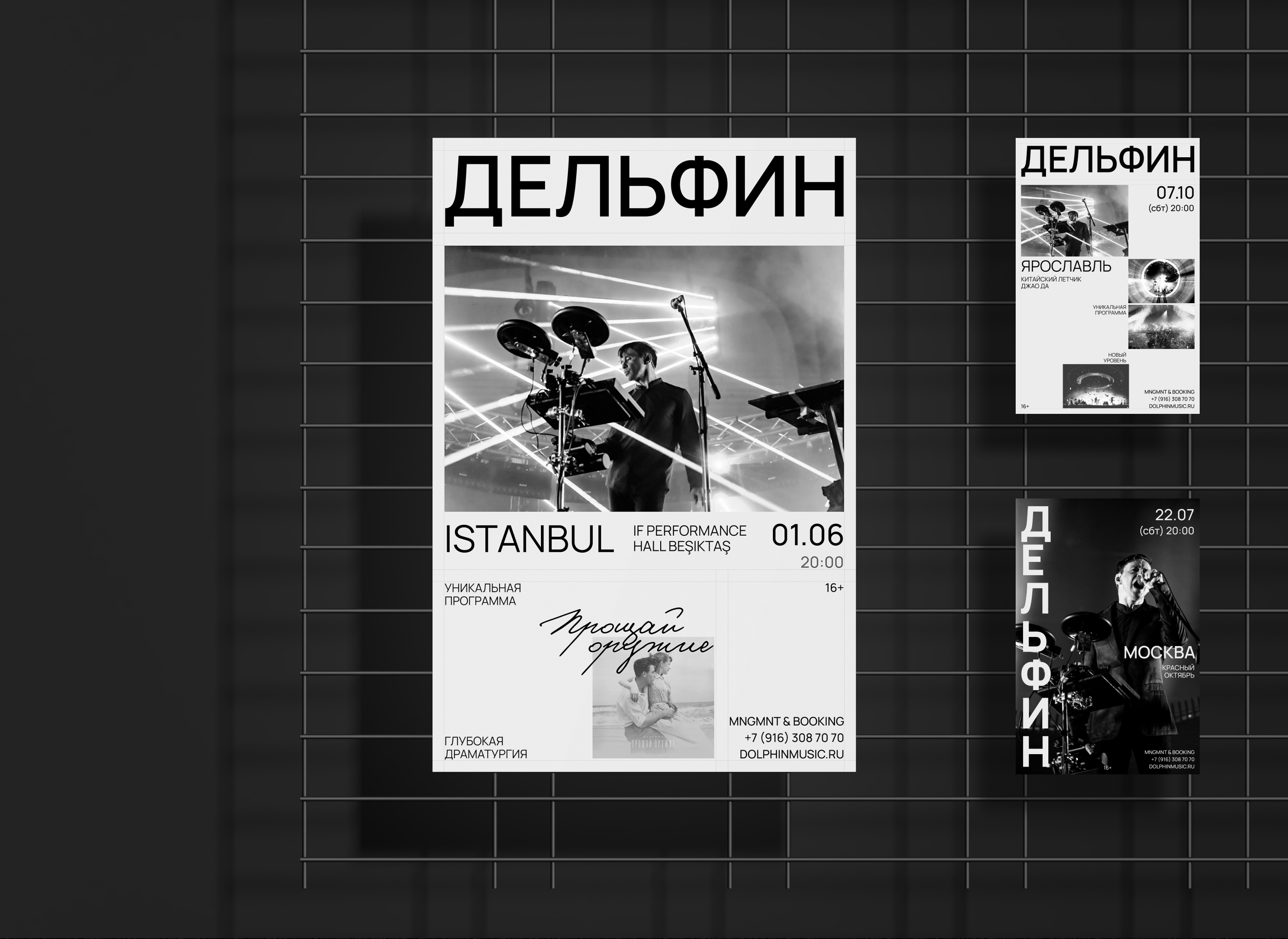 Тендерная концепция дизайна сайта исполнителя Дельфин — Изображение №6 — Интерфейсы на Dprofile