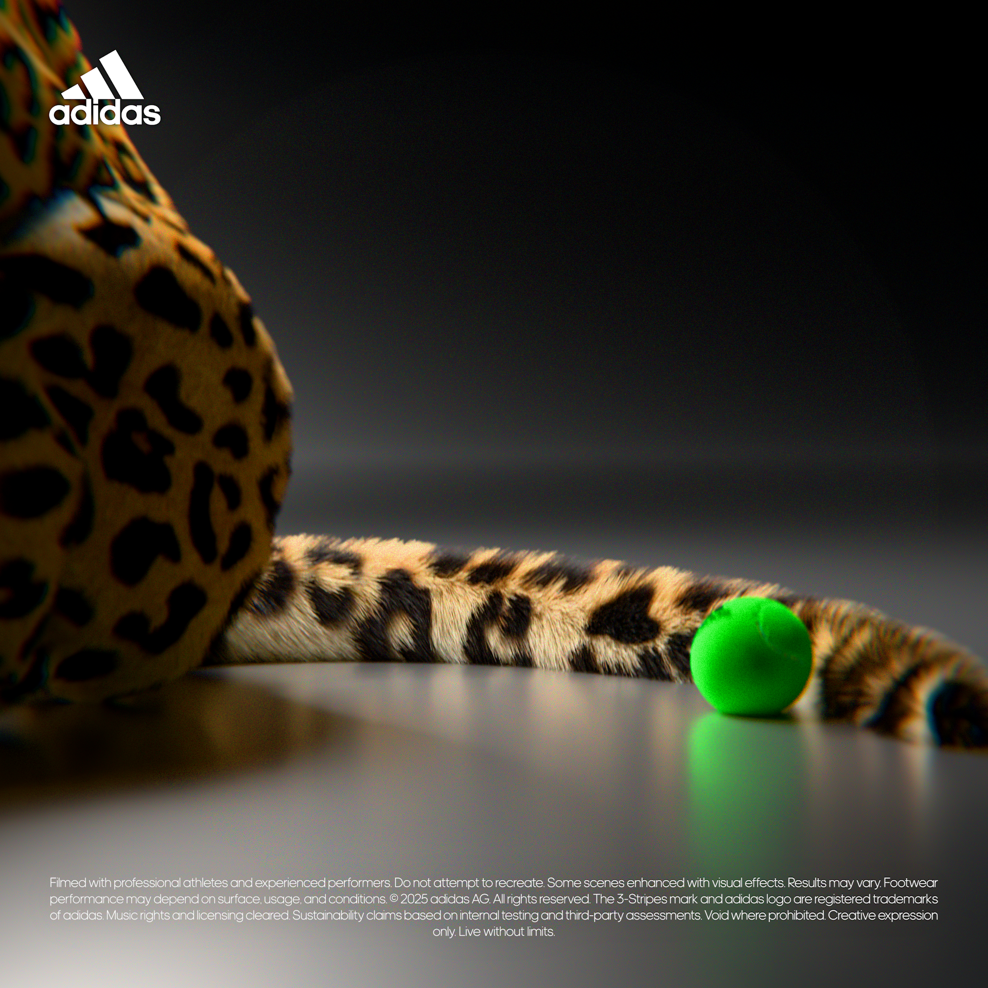 ADIDAS - NOTHING IS IMPOSSIBLE — Изображение №4 — Брендинг, Анимация на Dprofile