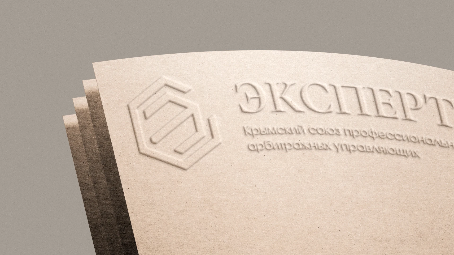 Эксперт | Фирменный стиль — Изображение №11 — Брендинг на Dprofile