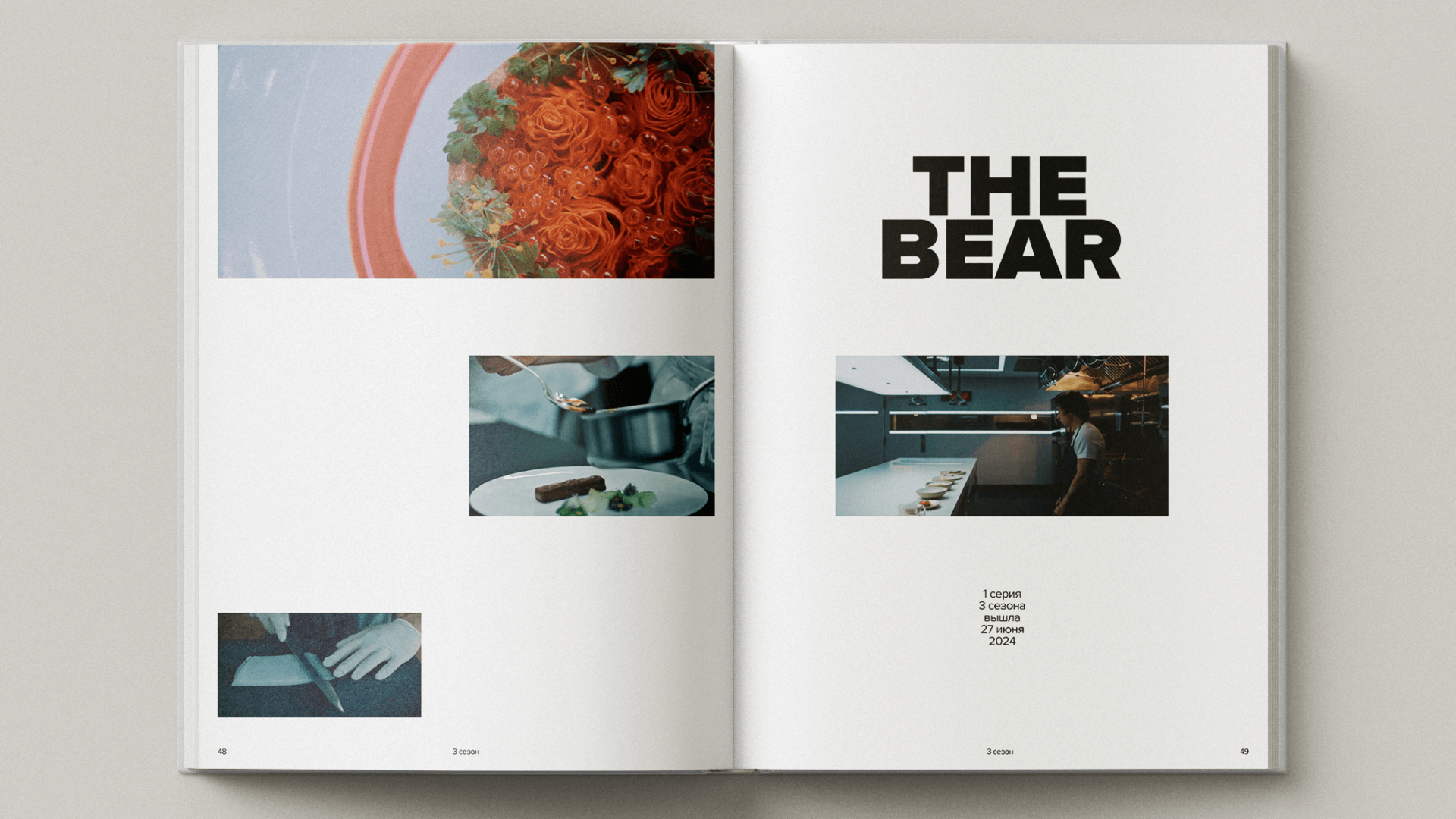 Book «THE BEAR» — Изображение №1 — Графика на Dprofile
