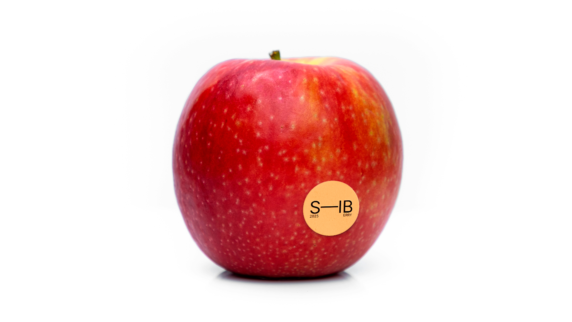 SIBERRY — Изображение №5 — Брендинг, Графика на Dprofile