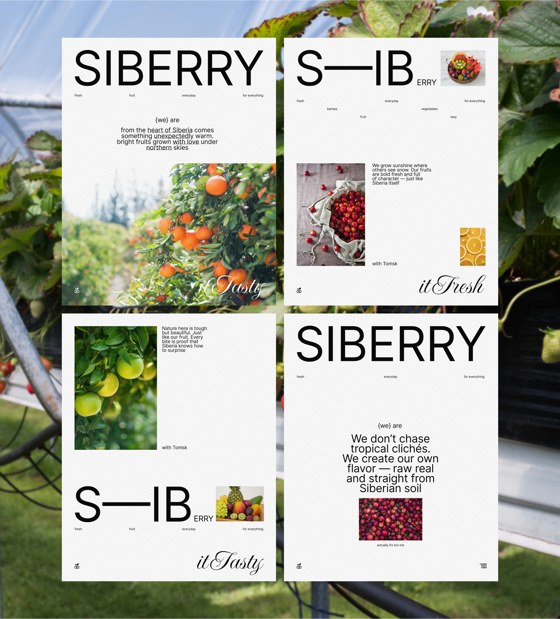 SIBERRY — Изображение №4 — Брендинг, Графика на Dprofile