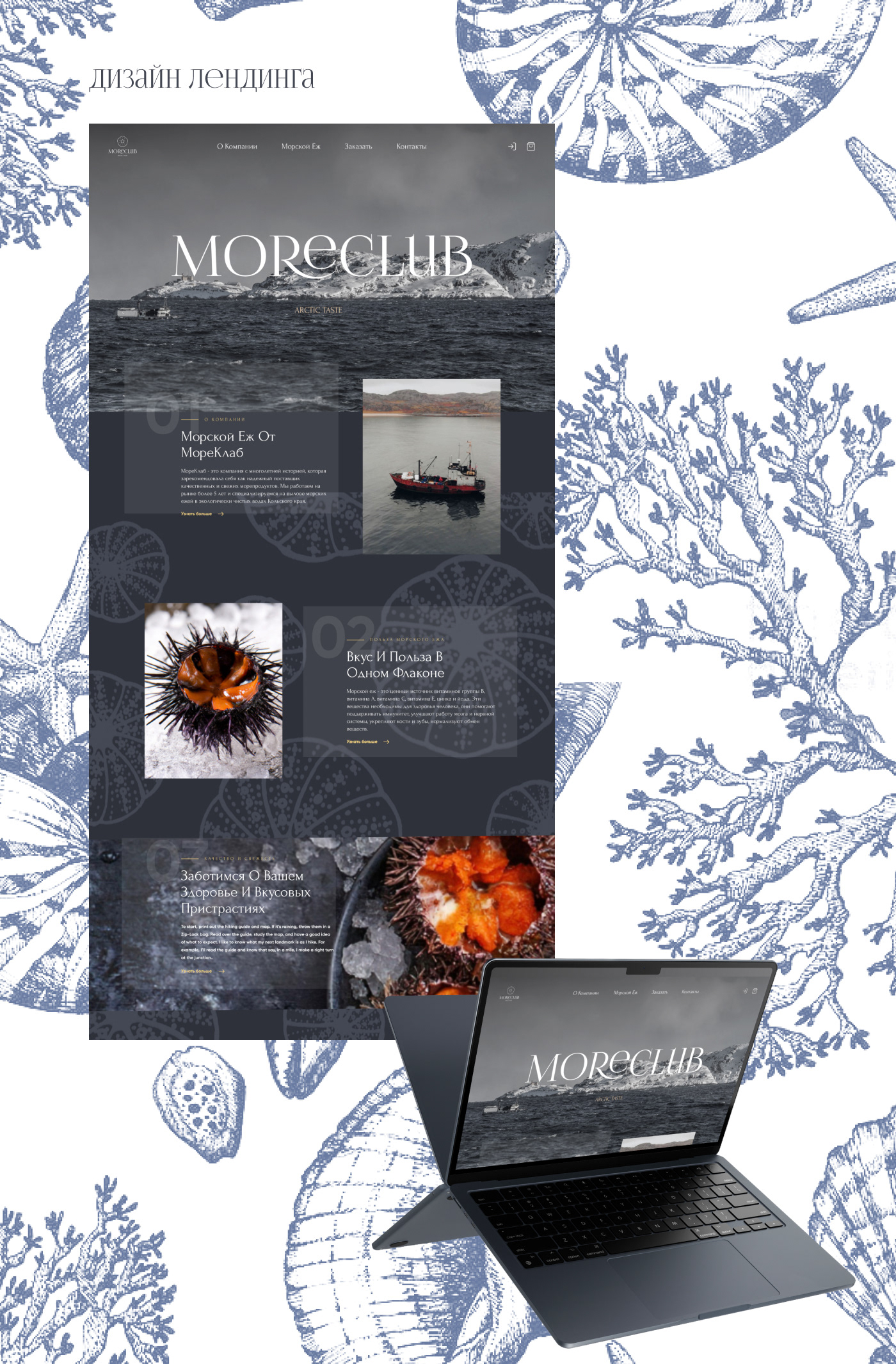 Moreclub — Изображение №10 — Брендинг, Маркетинг на Dprofile