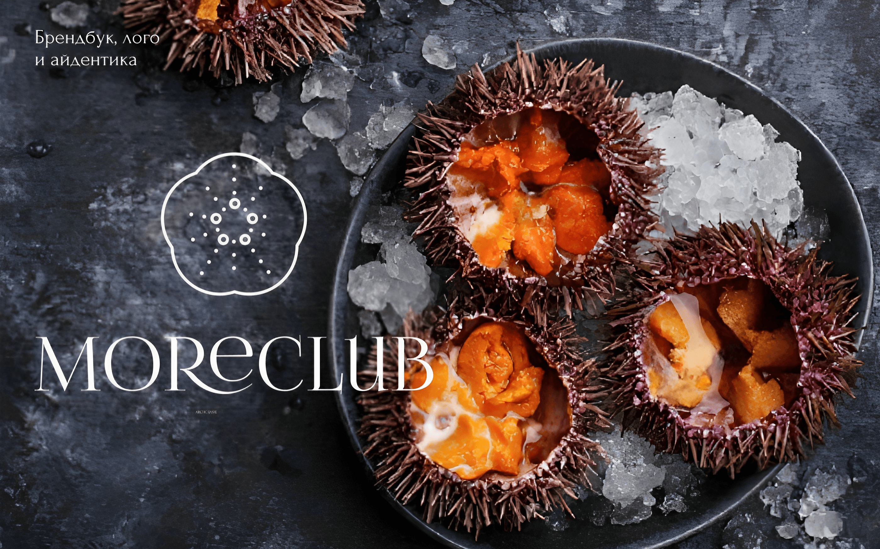 Moreclub — Изображение №1 — Брендинг, Маркетинг на Dprofile